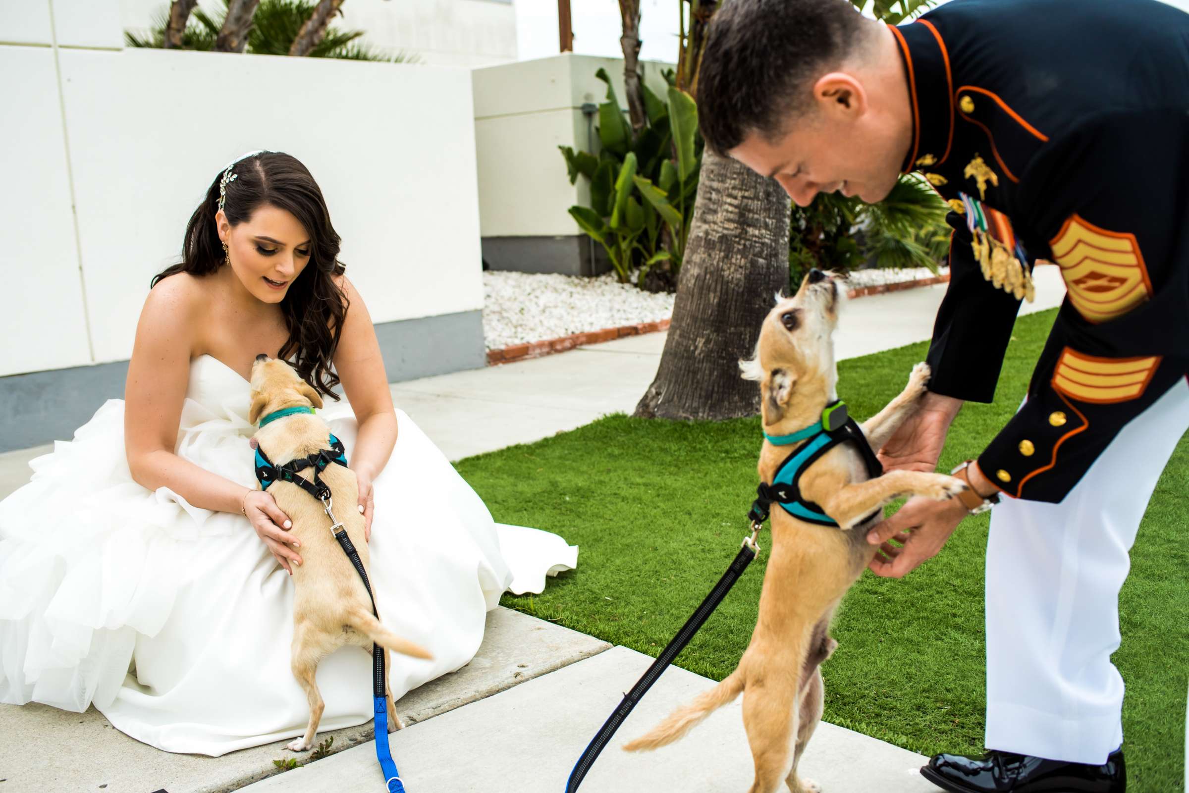 Ocean View Room Wedding coordinated by San Diego Life Events, Jenny and Brad Wedding Photo #115 by True Photography