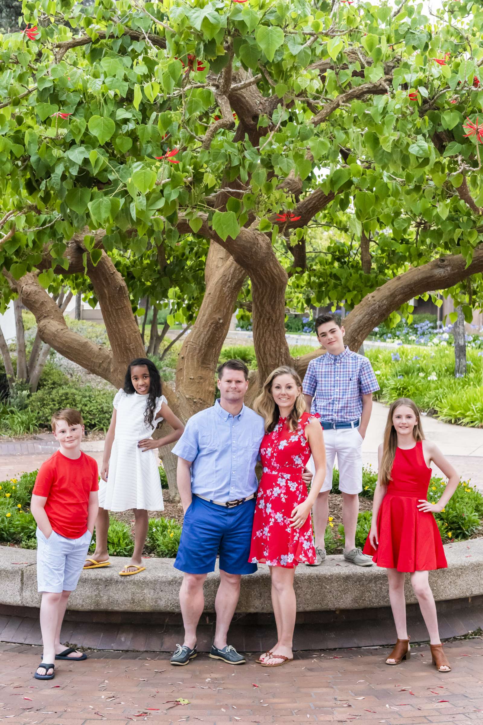 Family Portraits, Jordan Schriver Family Photo #544492 by True Photography