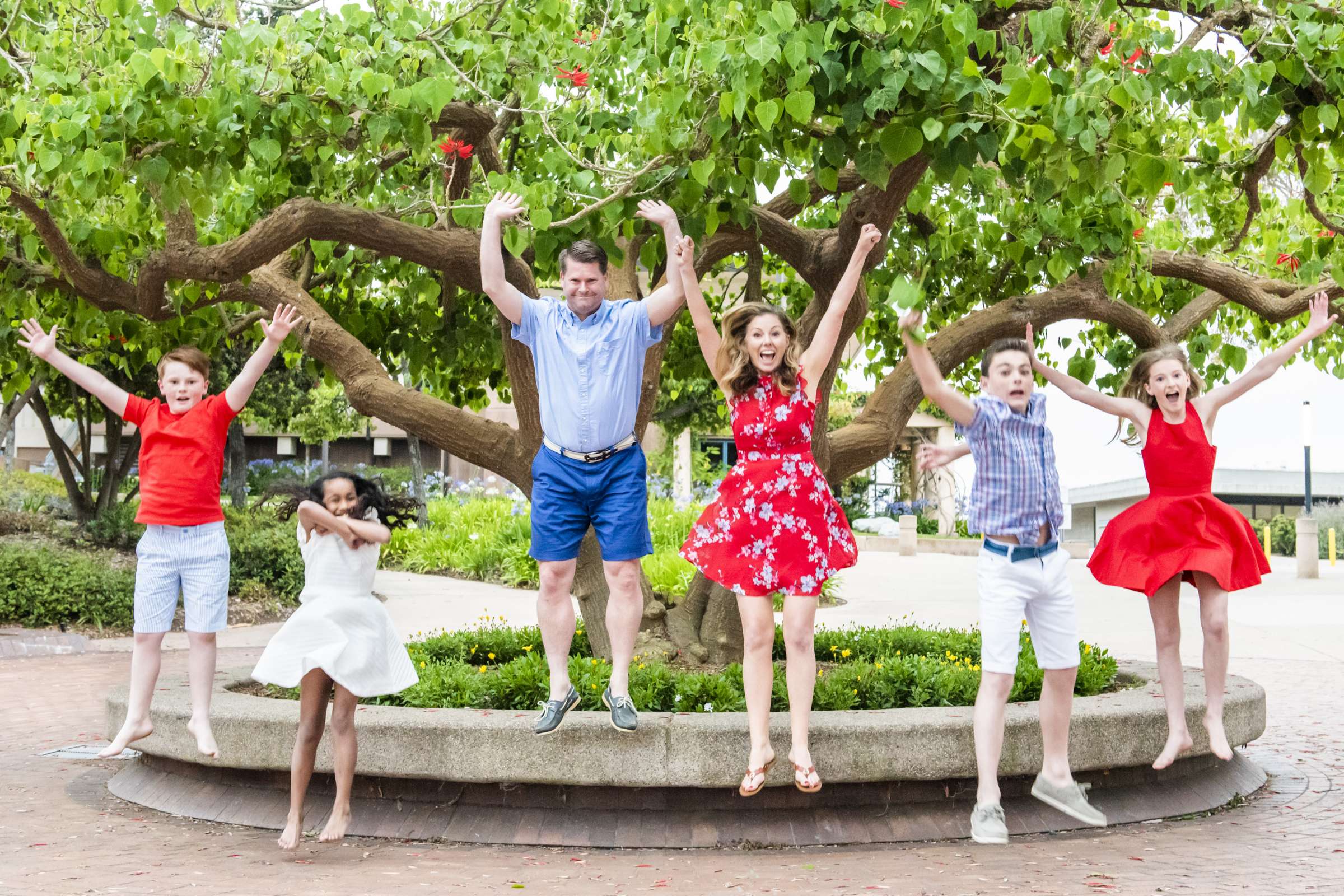 Family Portraits, Jordan Schriver Family Photo #544498 by True Photography