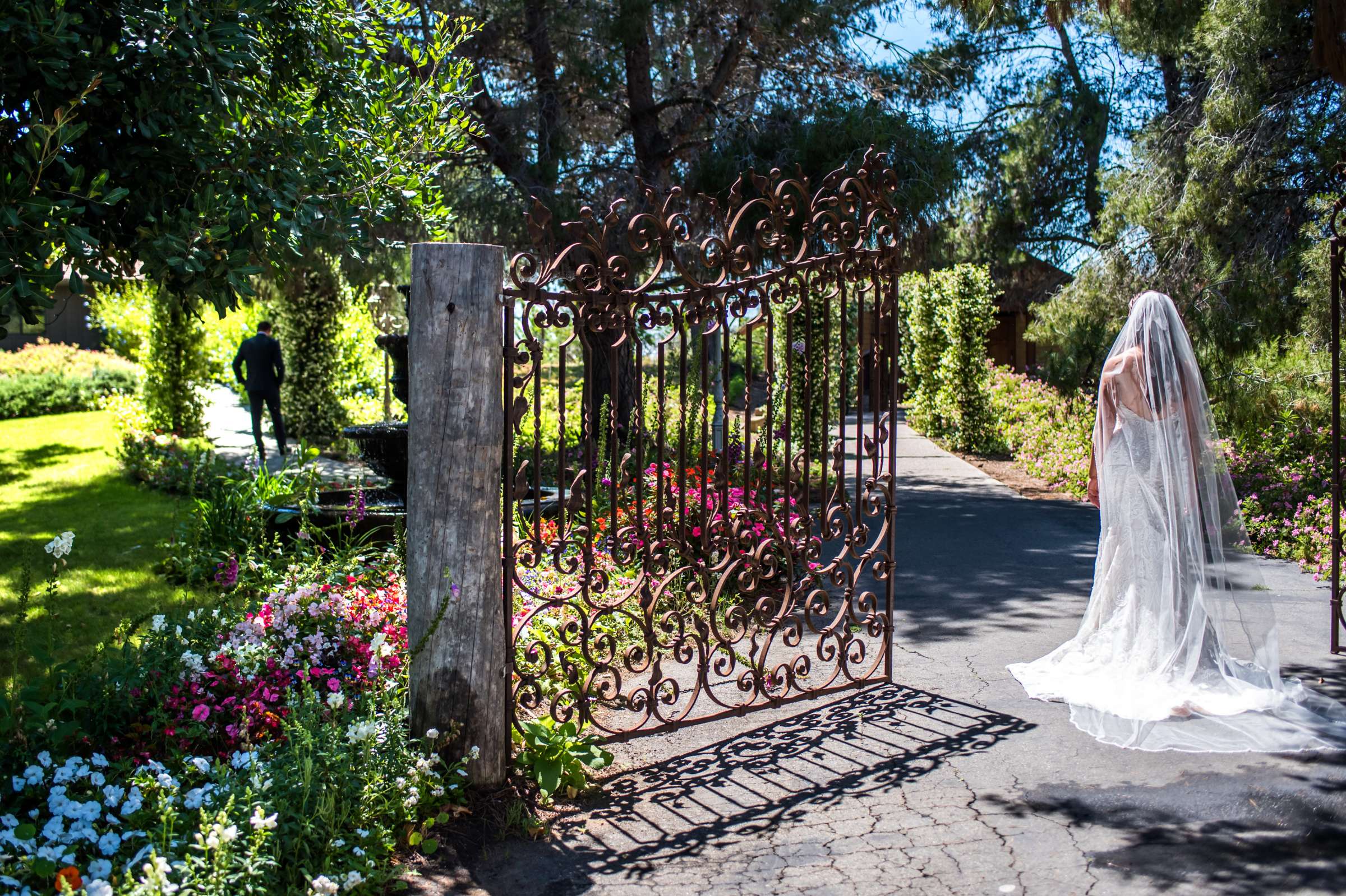 Ethereal Gardens Wedding, Kristin and Brandon Wedding Photo #42 by True Photography