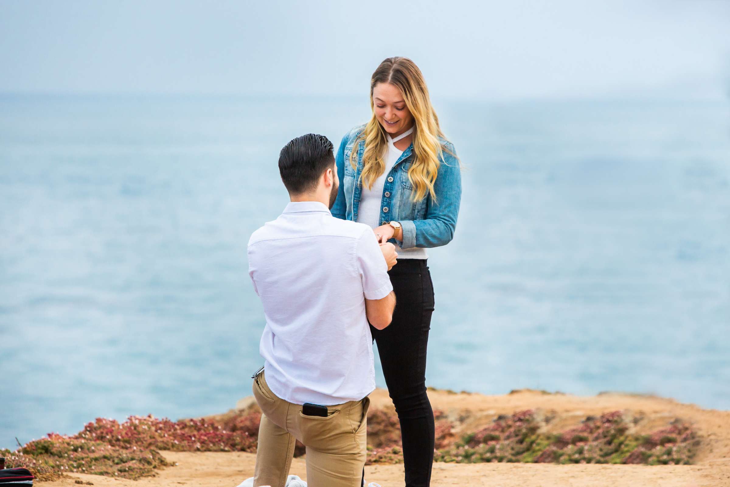 Engagement, Danielle and Michael Proposal Engagement Photo #3 by True Photography