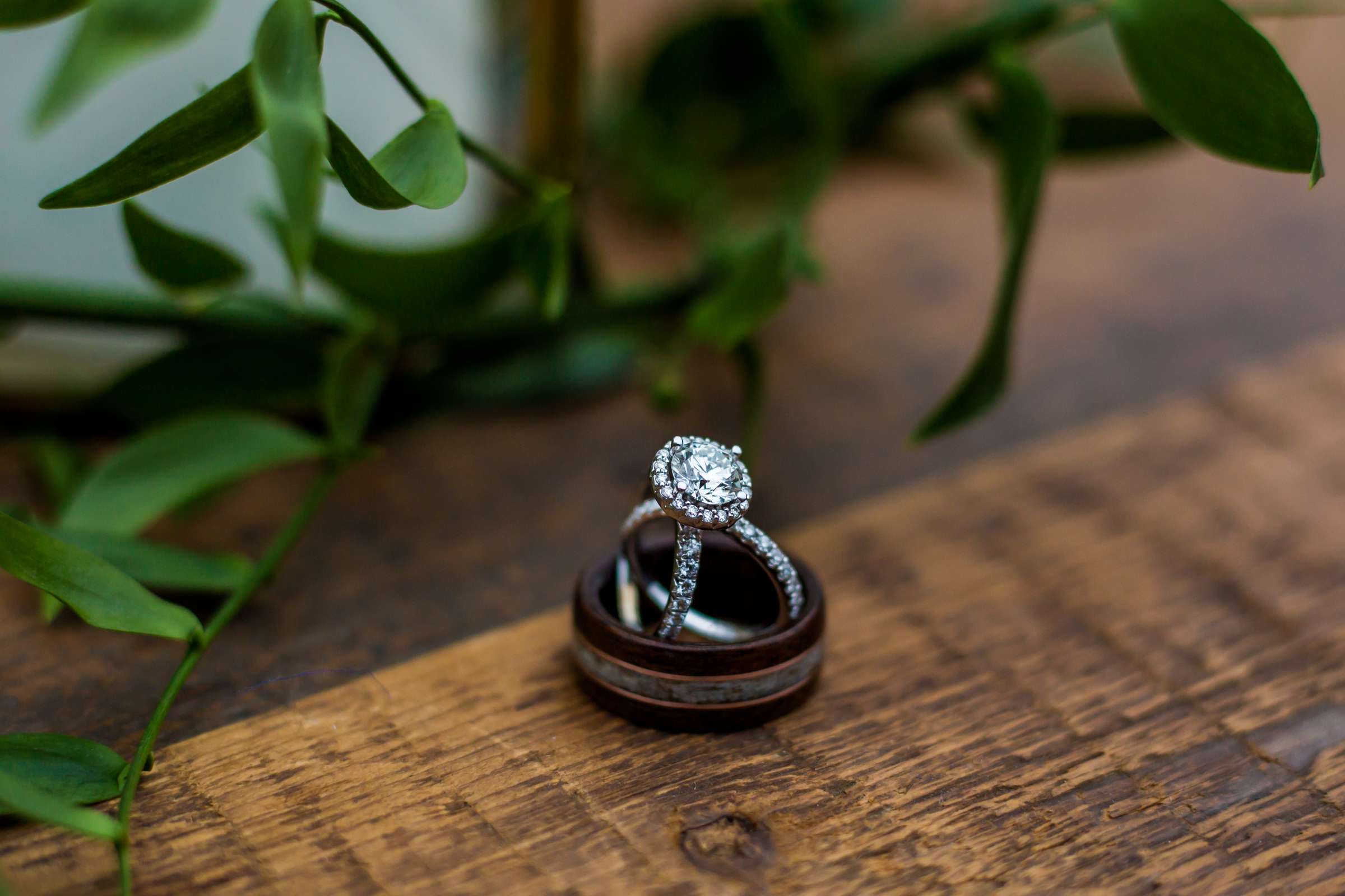 San Diego Rowing Club | The Garty Pavilion Wedding coordinated by Ivory + Stone Event Co., Emily and Tommy Wedding Photo #231 by True Photography