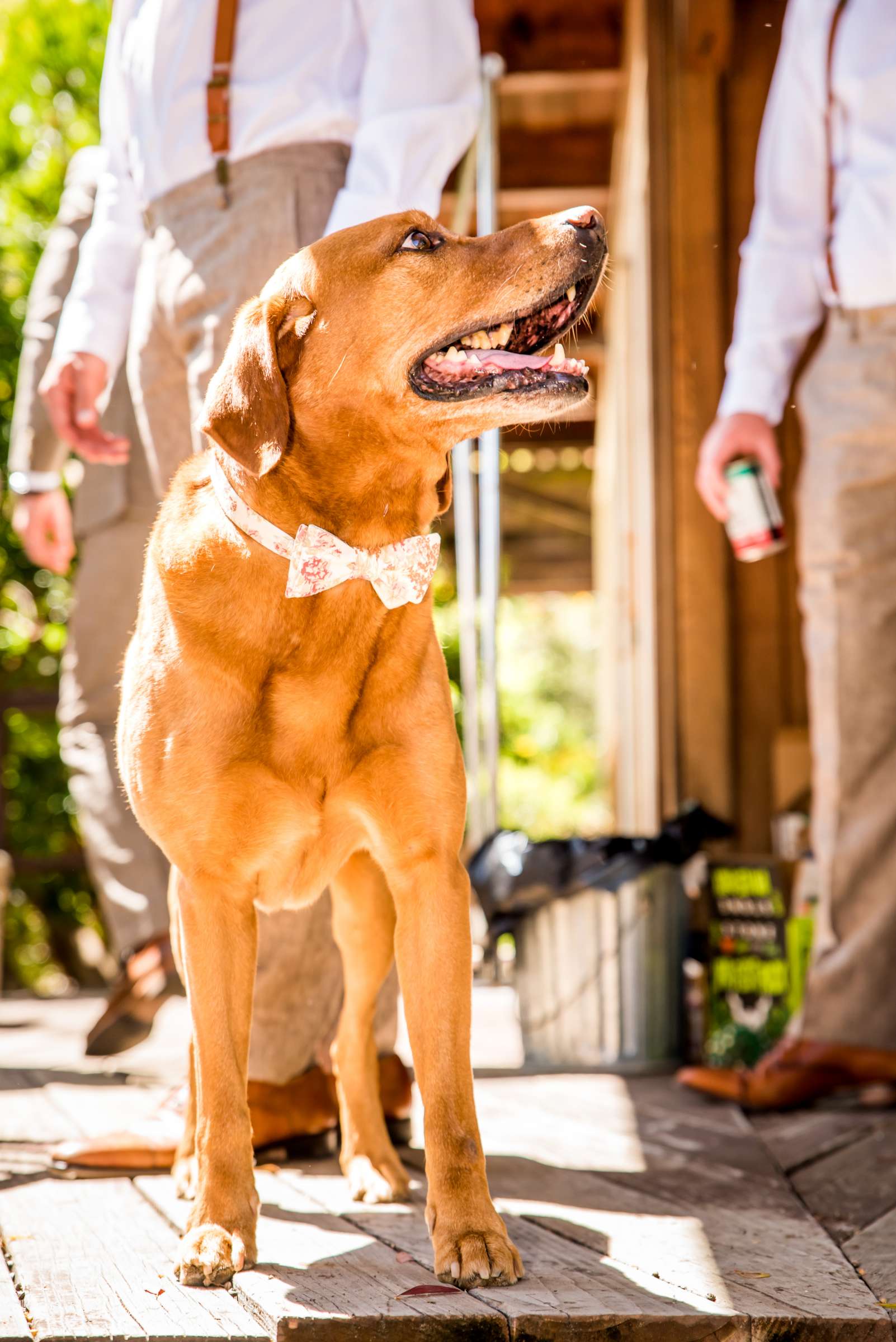 The Bradford Ranch Wedding, Juliet and Ryan Wedding Photo #63 by True Photography