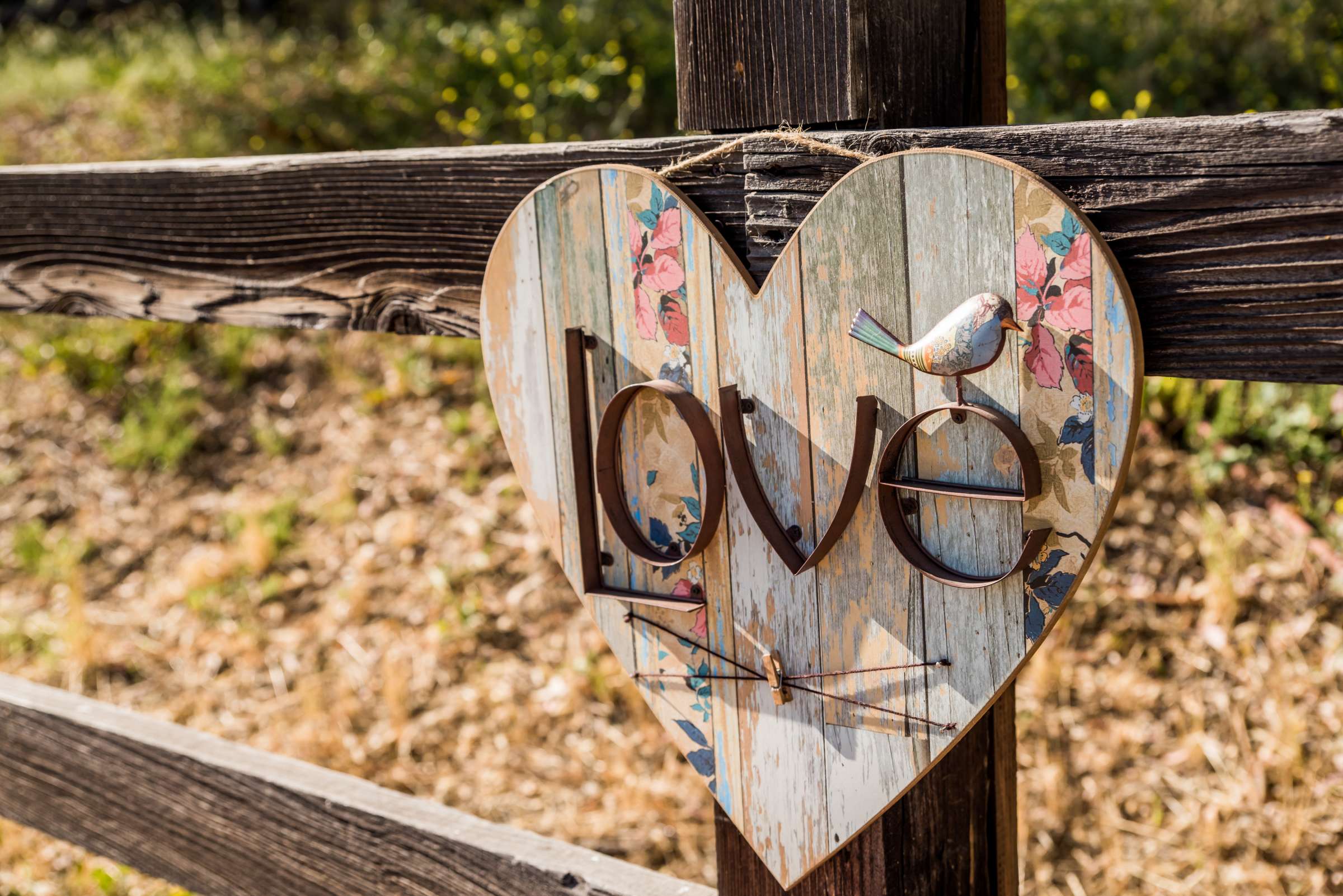 The Bradford Ranch Wedding, Juliet and Ryan Wedding Photo #176 by True Photography