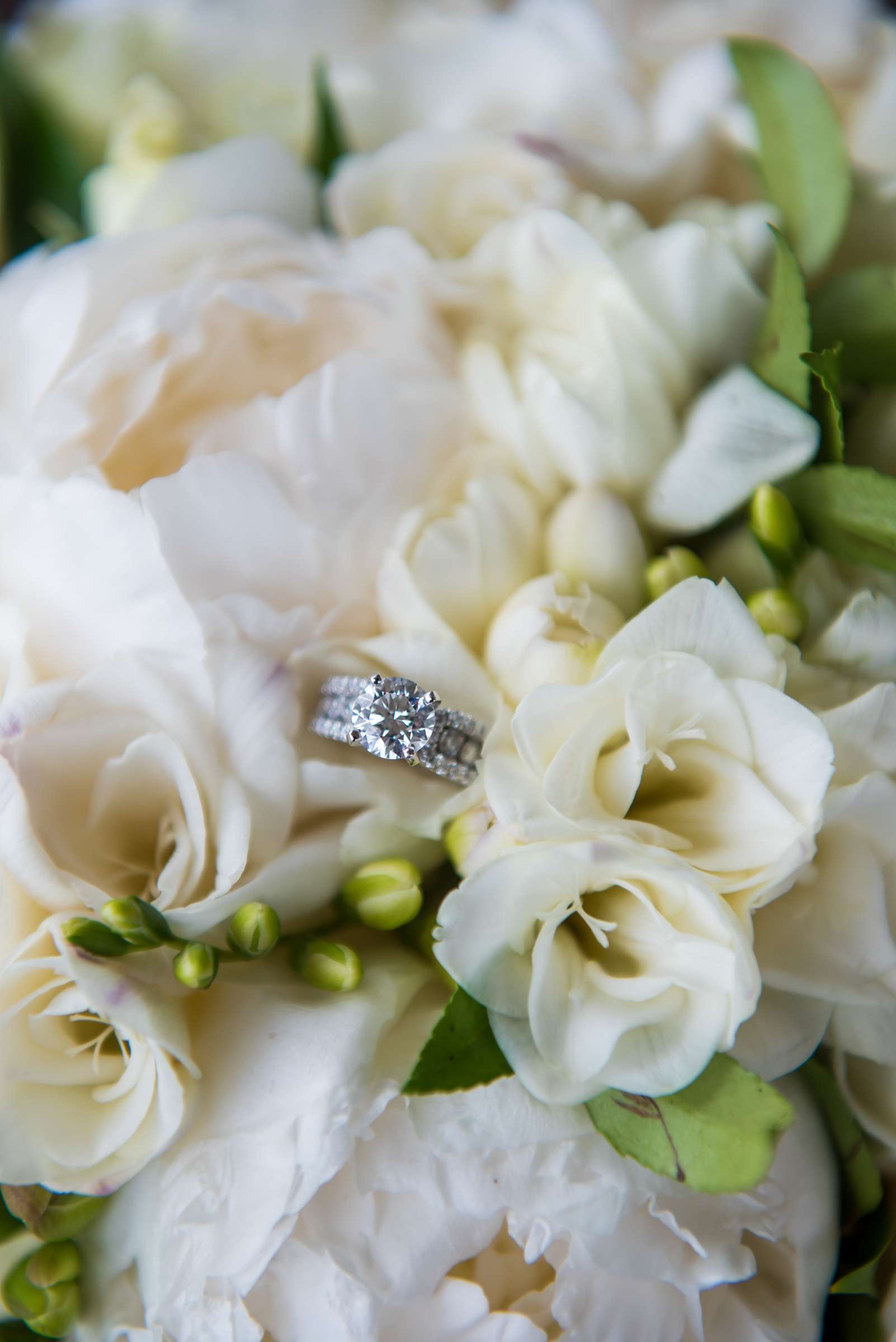 Cape Rey Wedding coordinated by Holly Kalkin Weddings, Karen and Randy Wedding Photo #166 by True Photography