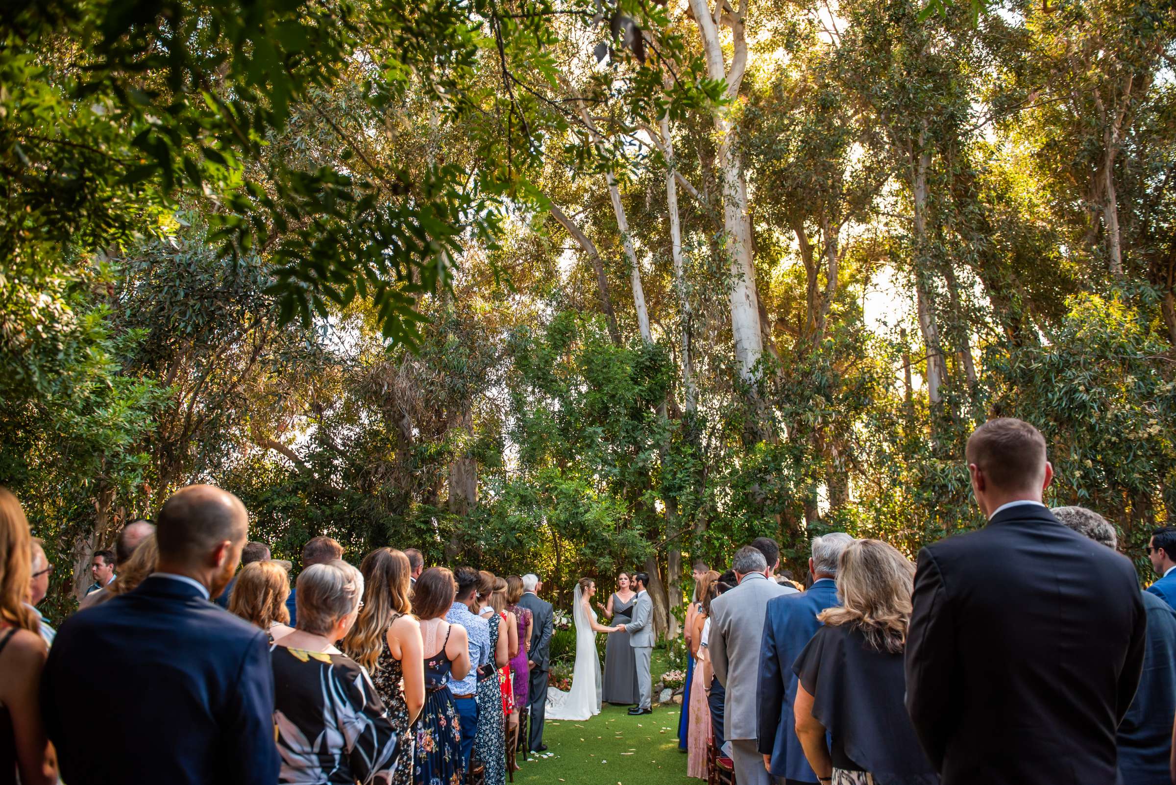 Twin Oaks House & Gardens Wedding Estate Wedding, Meganne and Mike Wedding Photo #88 by True Photography