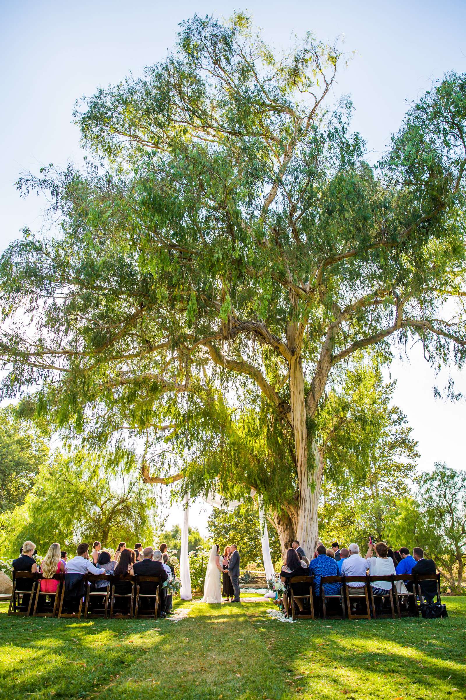 Wedgewood Wedding & Banquet Center Wedding, Ashley and Arkadiusz Wedding Photo #76 by True Photography