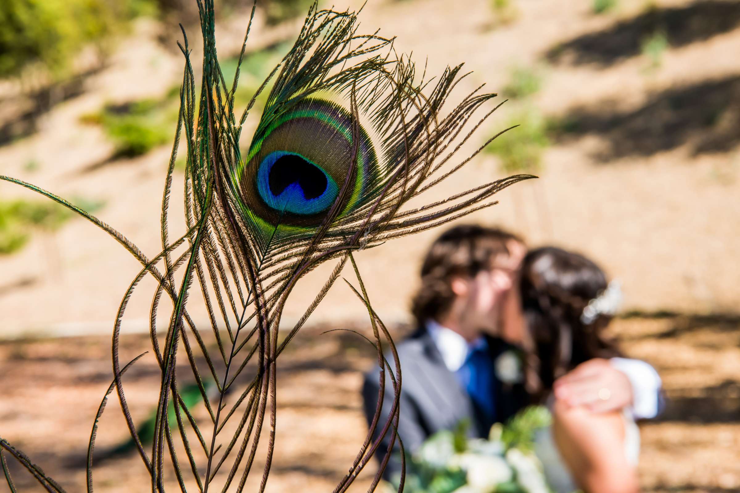 Leo Carrillo Ranch Wedding, Breanna and Daniel Wedding Photo #25 by True Photography