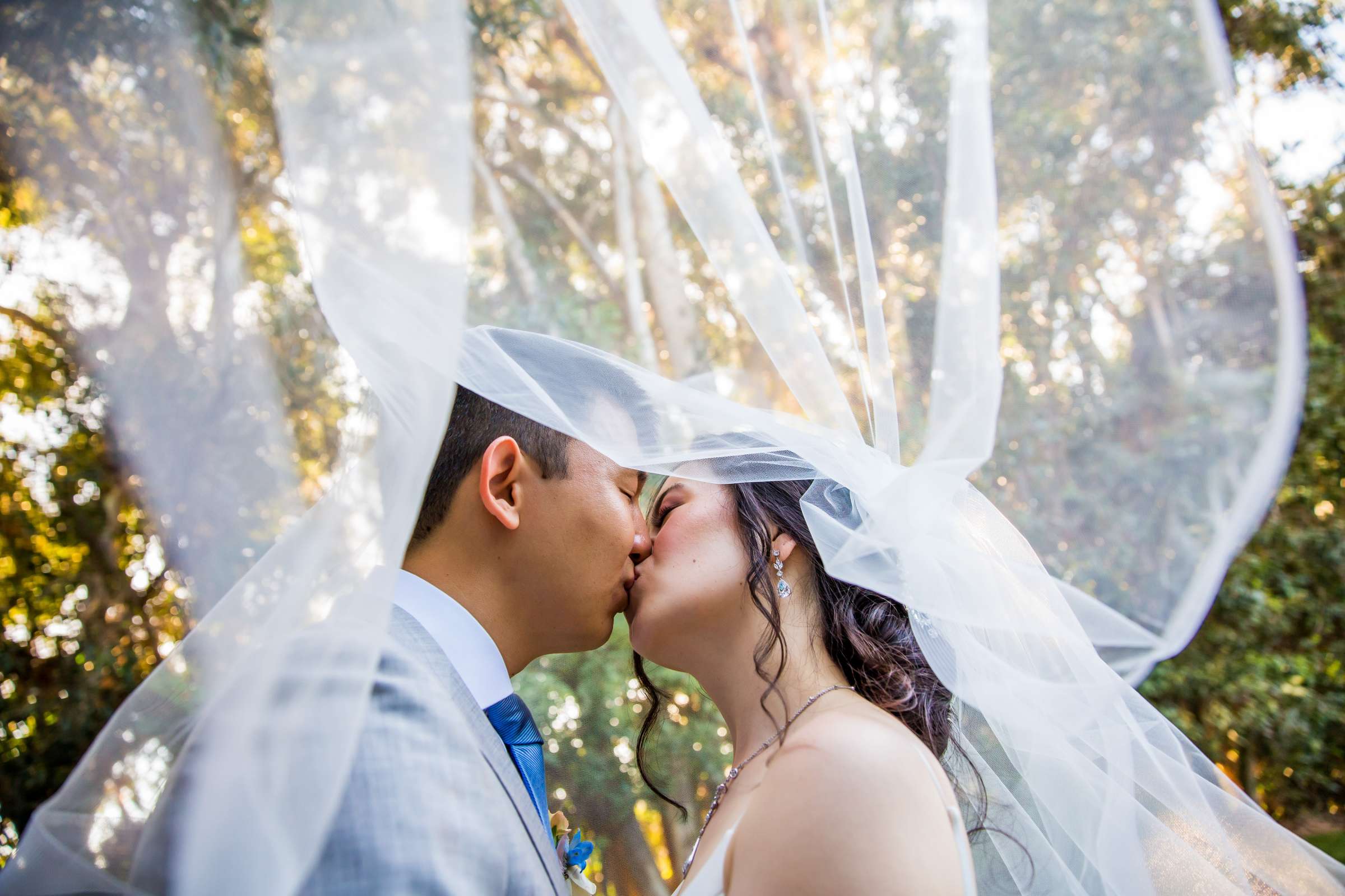 Wedding, Sarah and Shawn Wedding Photo #17 by True Photography