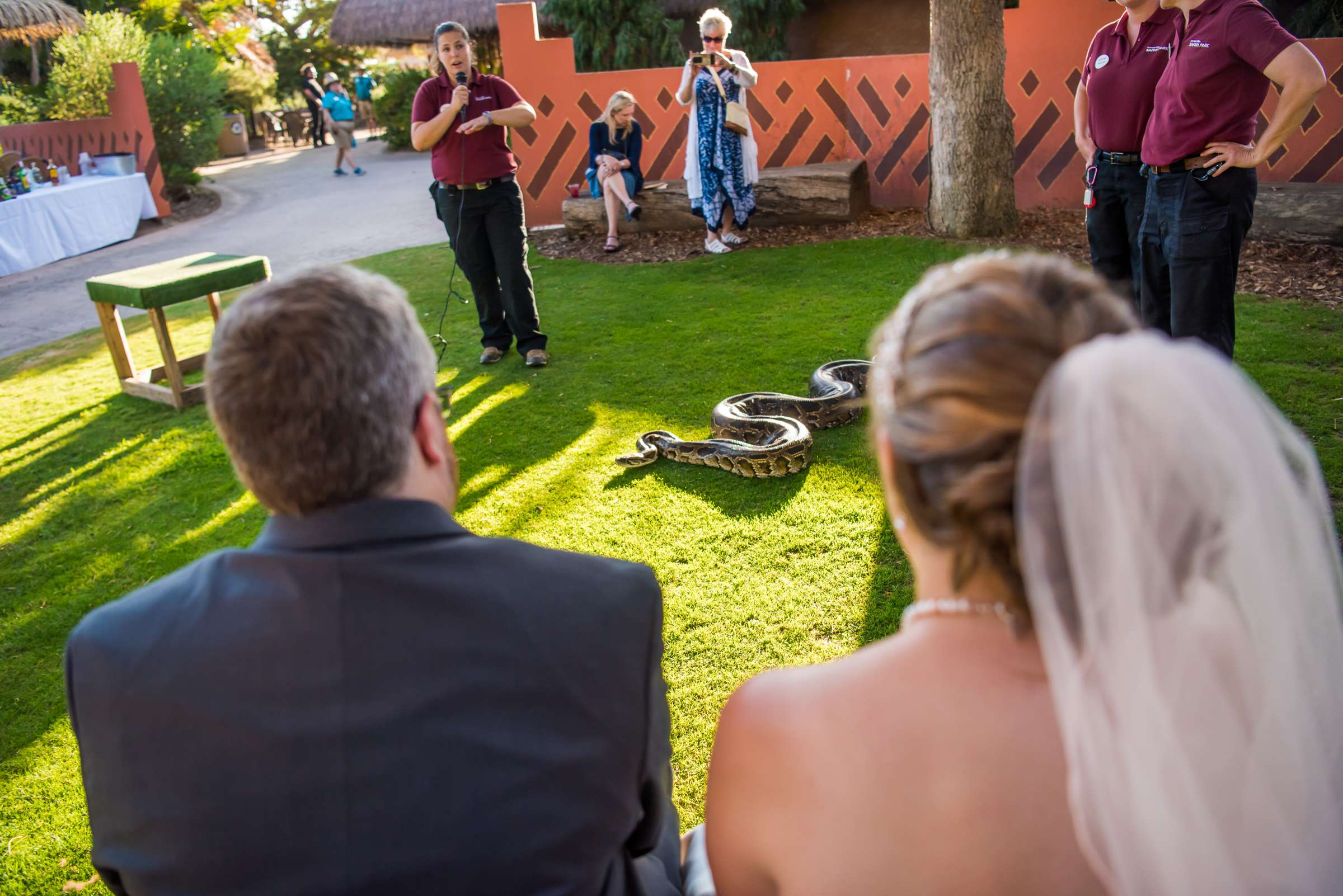 Safari Park Wedding, Rebecca and Corey Wedding Photo #11 by True Photography