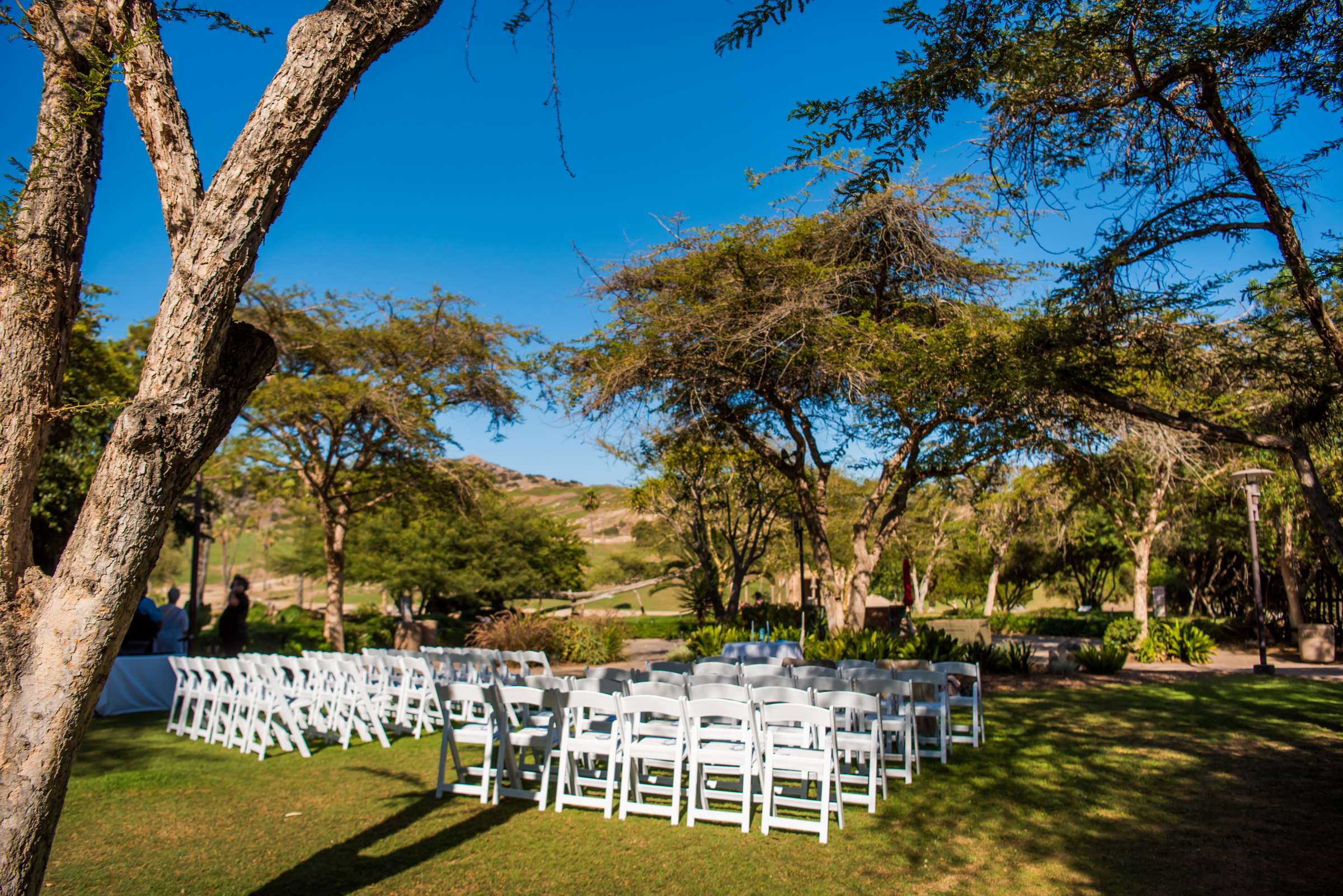 Safari Park Wedding, Rebecca and Corey Wedding Photo #21 by True Photography