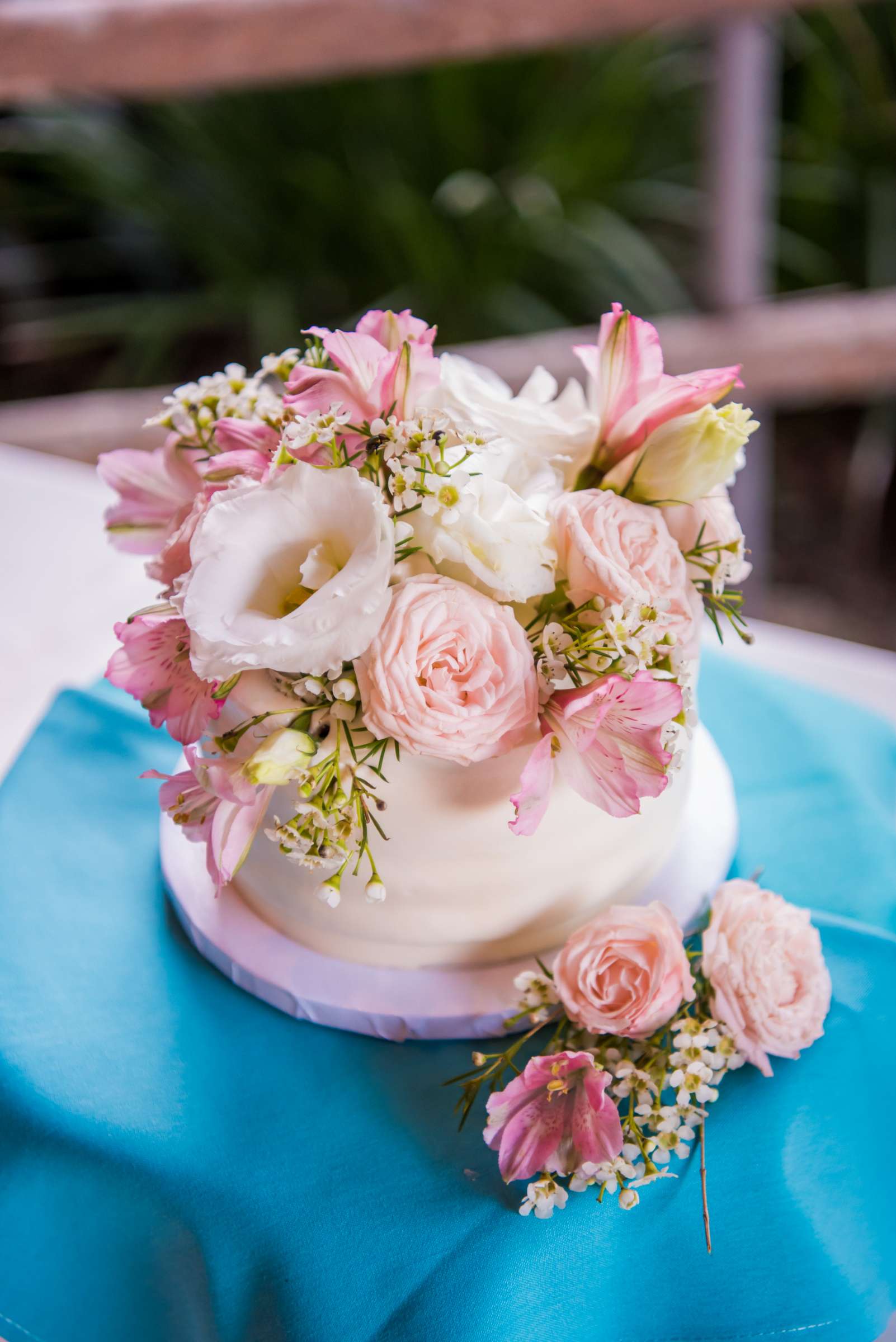 Safari Park Wedding, Rebecca and Corey Wedding Photo #65 by True Photography