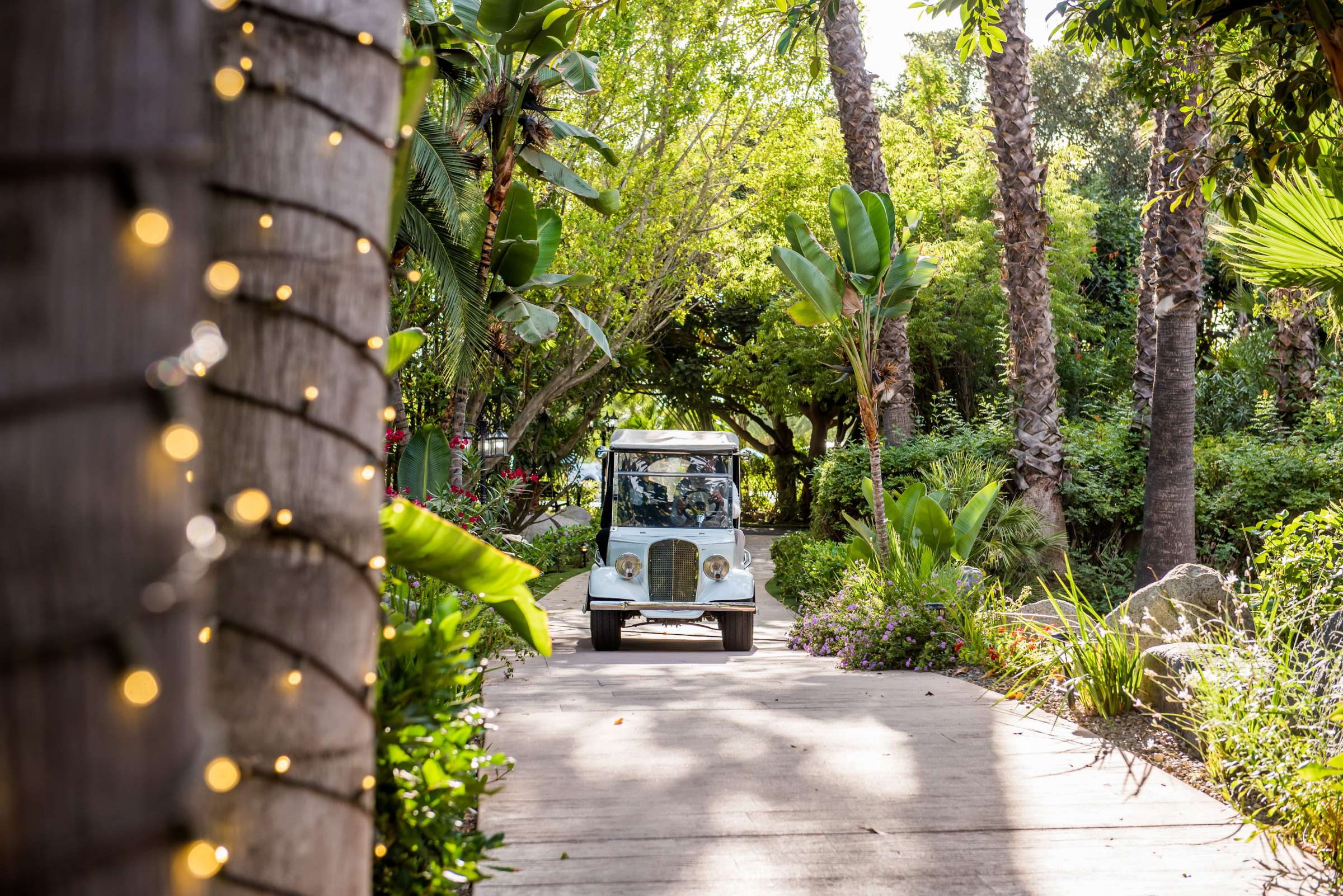 Botanica the Venue Wedding, Am and Casey Wedding Photo #189 by True Photography