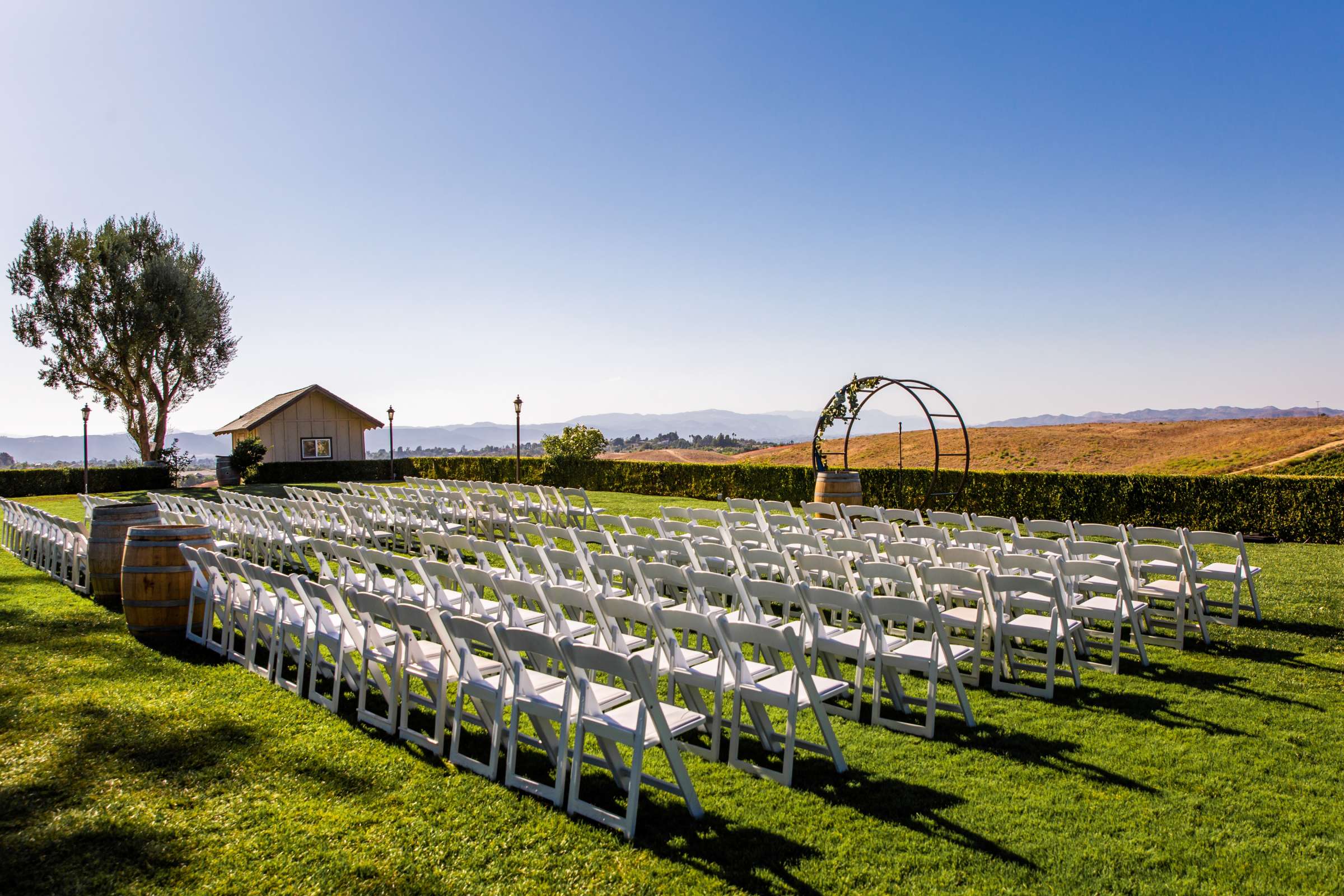 Callaway Vineyards & Winery Wedding, Erica and Robert Wedding Photo #138 by True Photography