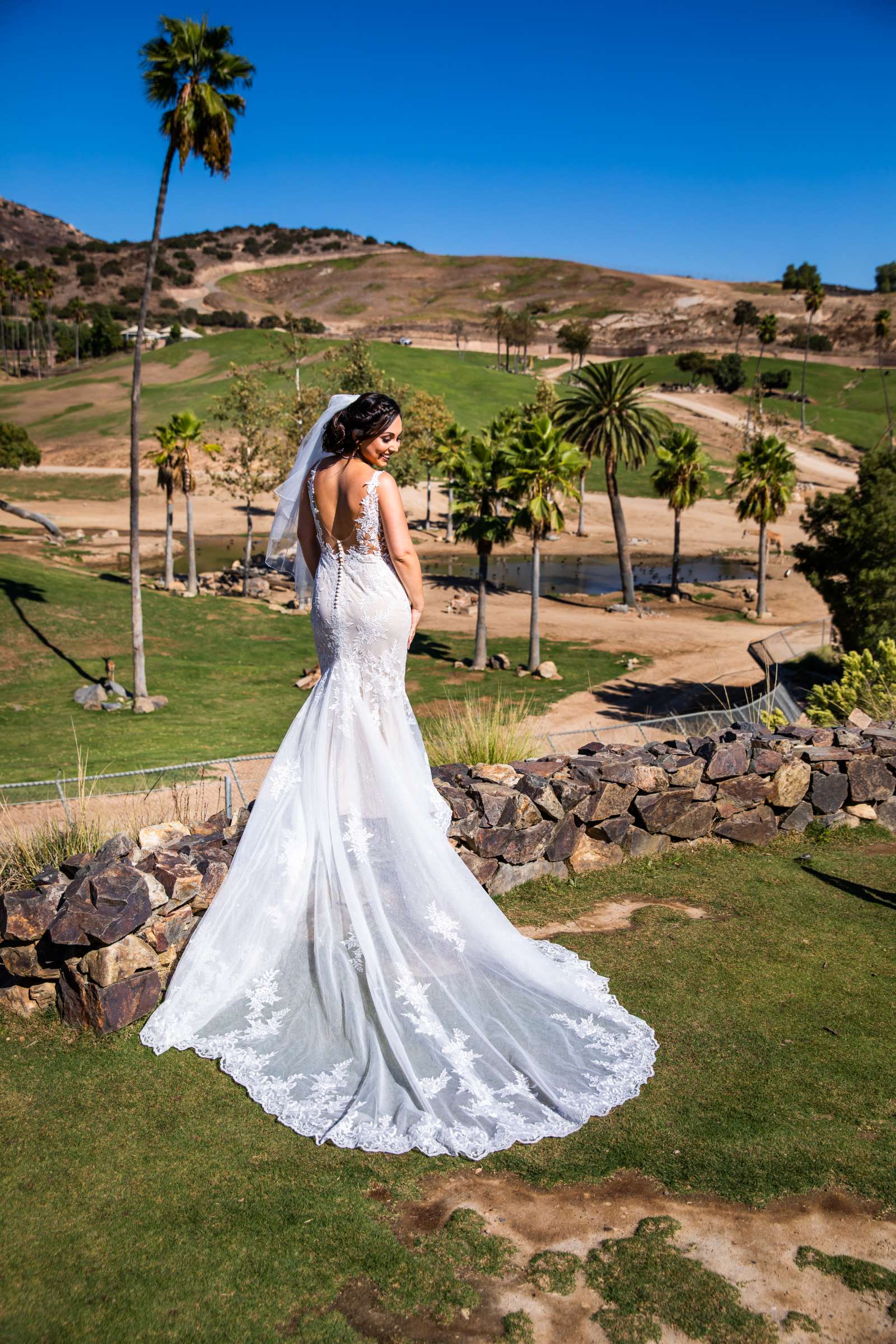 Safari Park Wedding, Nika and Zach Wedding Photo #37 by True Photography