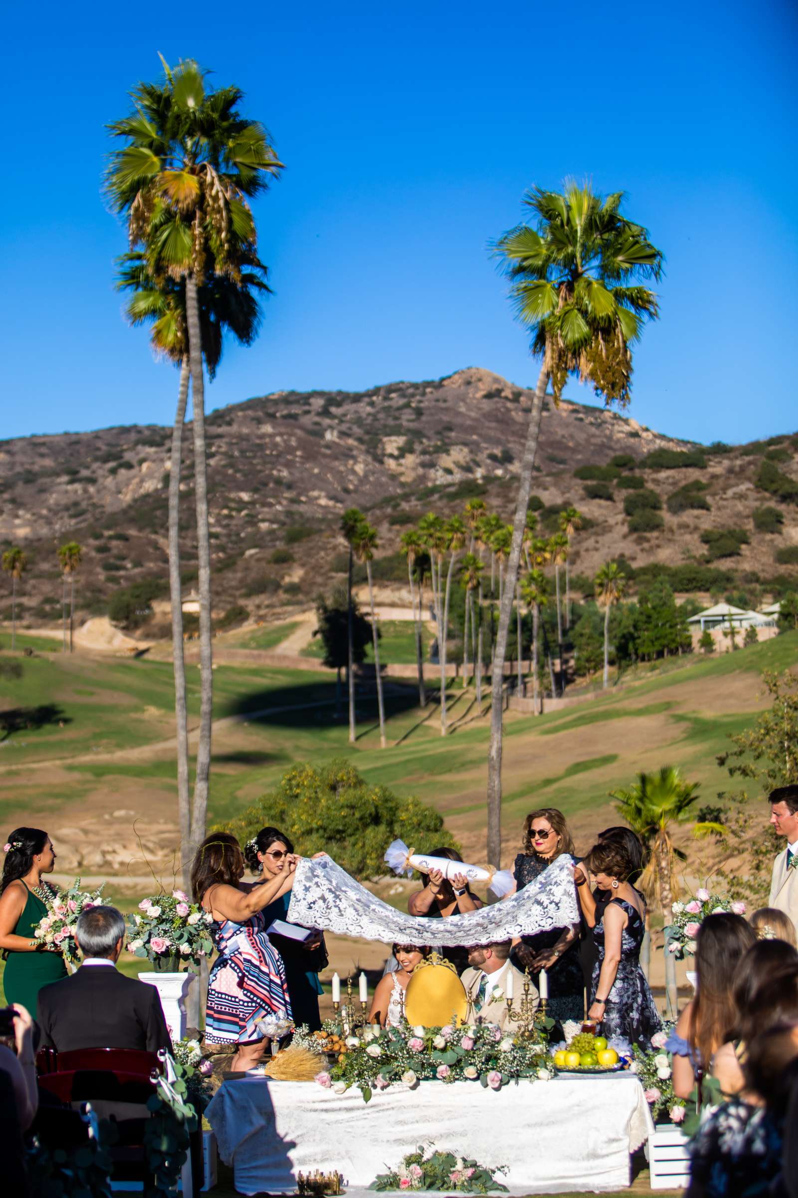 Safari Park Wedding, Nika and Zach Wedding Photo #79 by True Photography