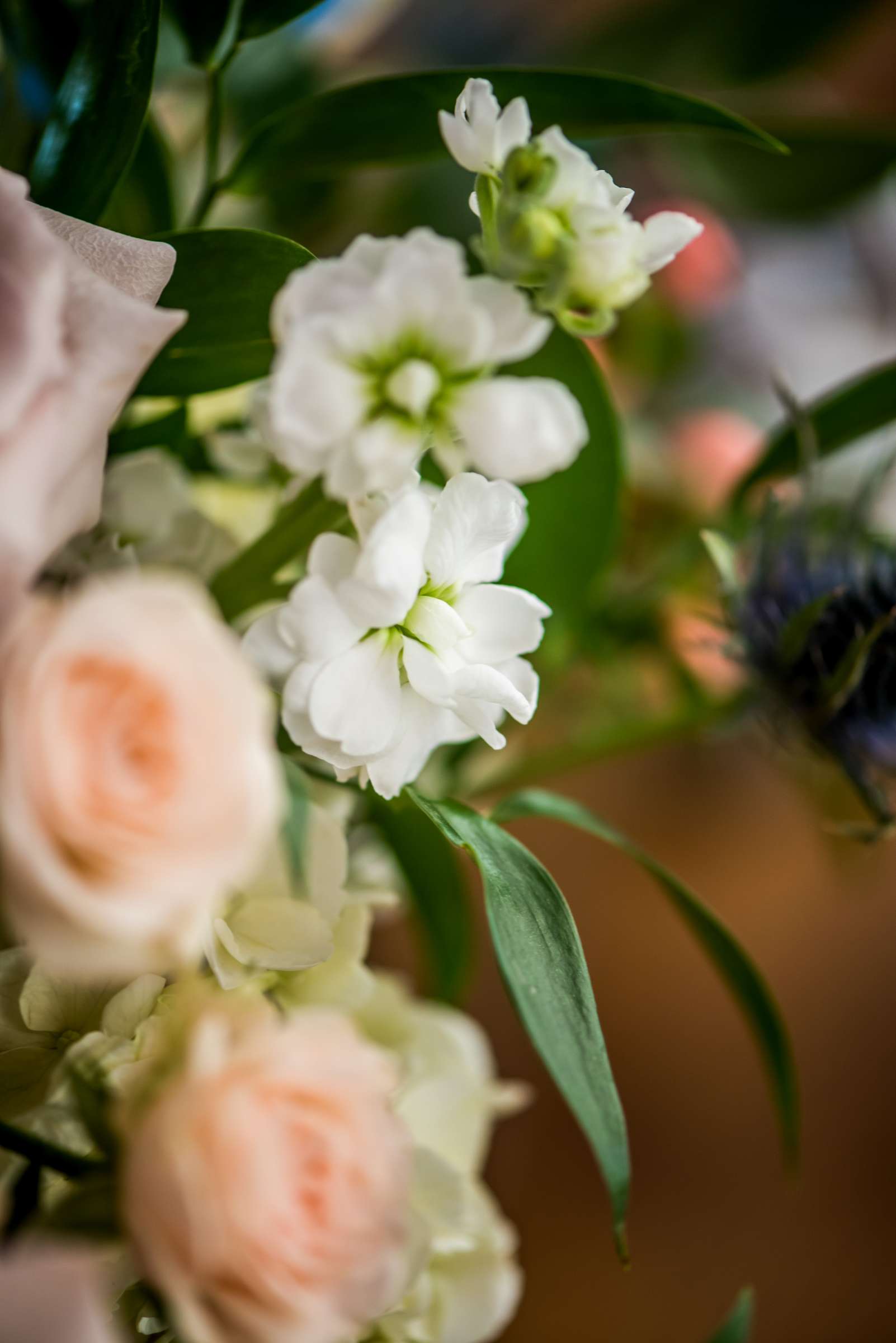 Green Gables Wedding Estate Wedding, Nora and Lee Wedding Photo #578897 by True Photography