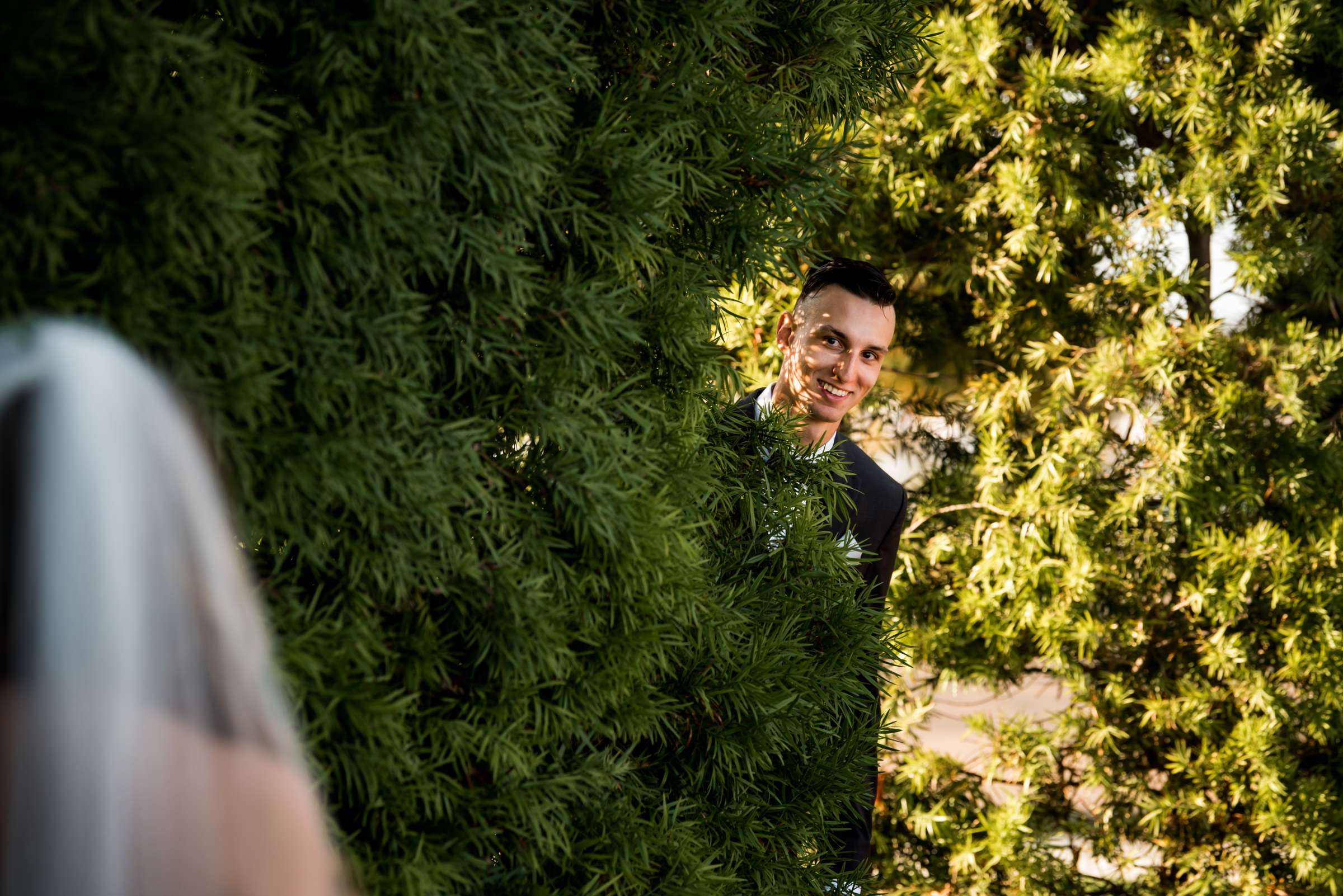 Tom Ham's Lighthouse Wedding, Summer and Connor Wedding Photo #53 by True Photography