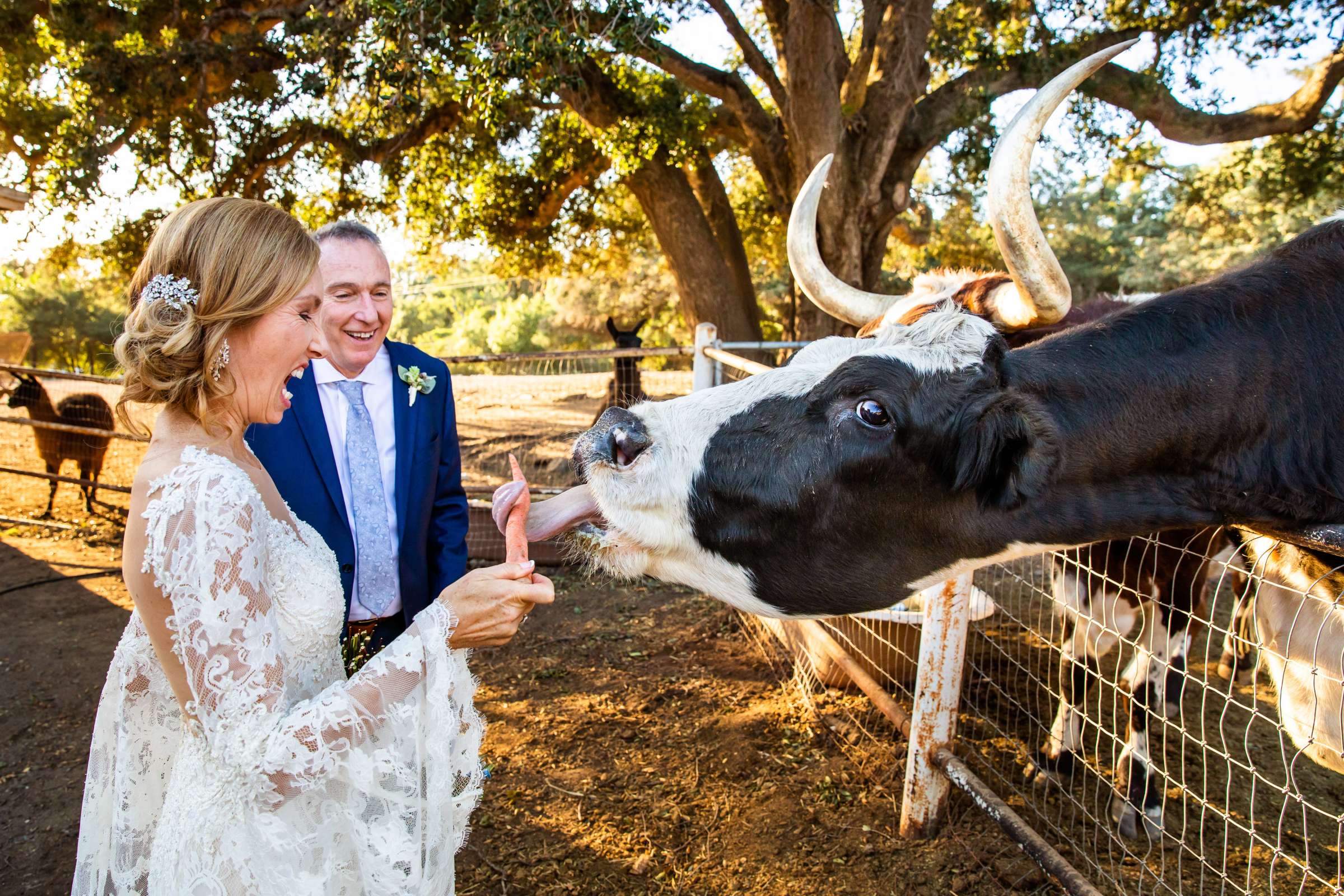Condors Nest Ranch Wedding coordinated by Trish Forney, Ann and Stephen Wedding Photo #7 by True Photography