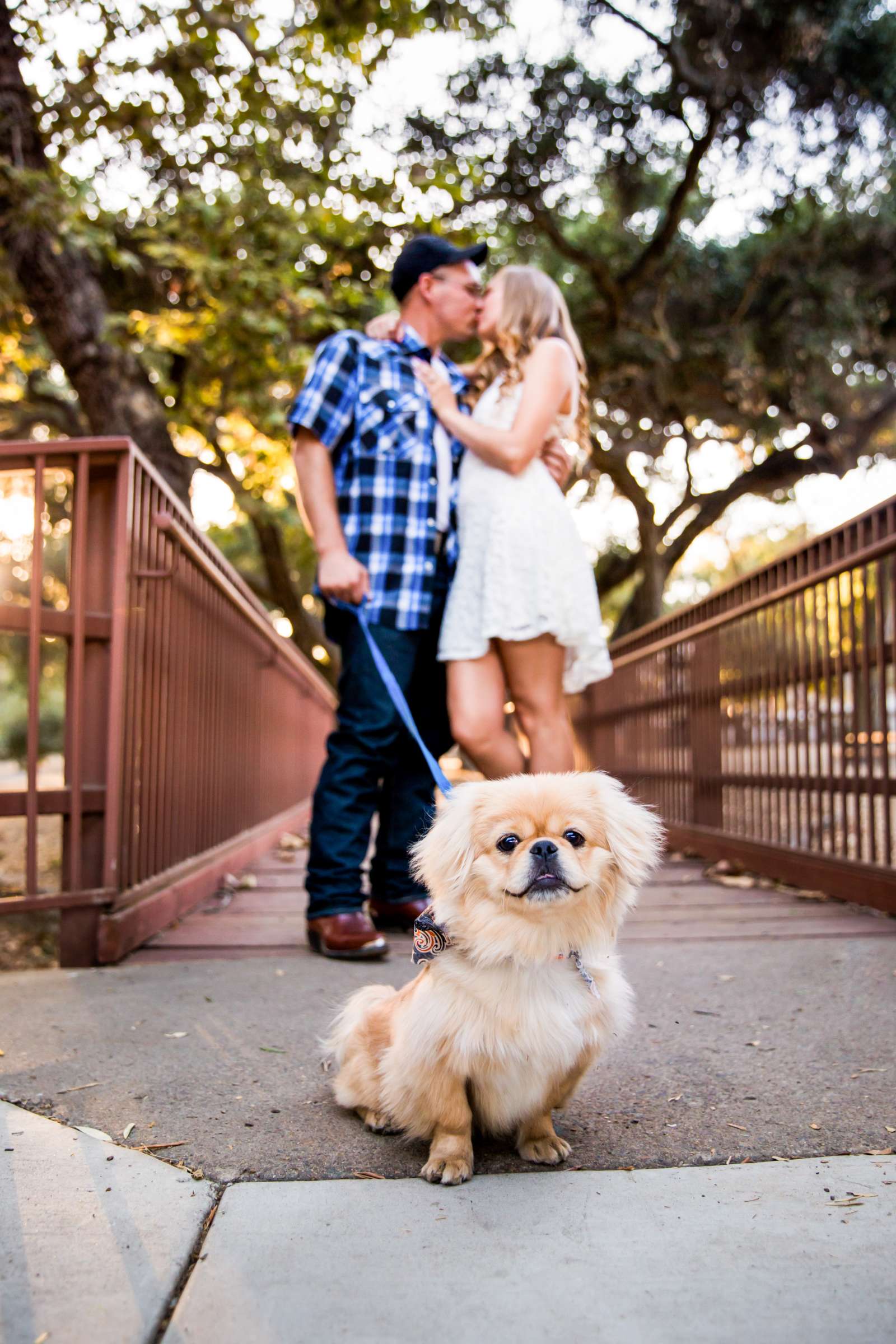 Engagement, Brooke and Brett Engagement Photo #583046 by True Photography