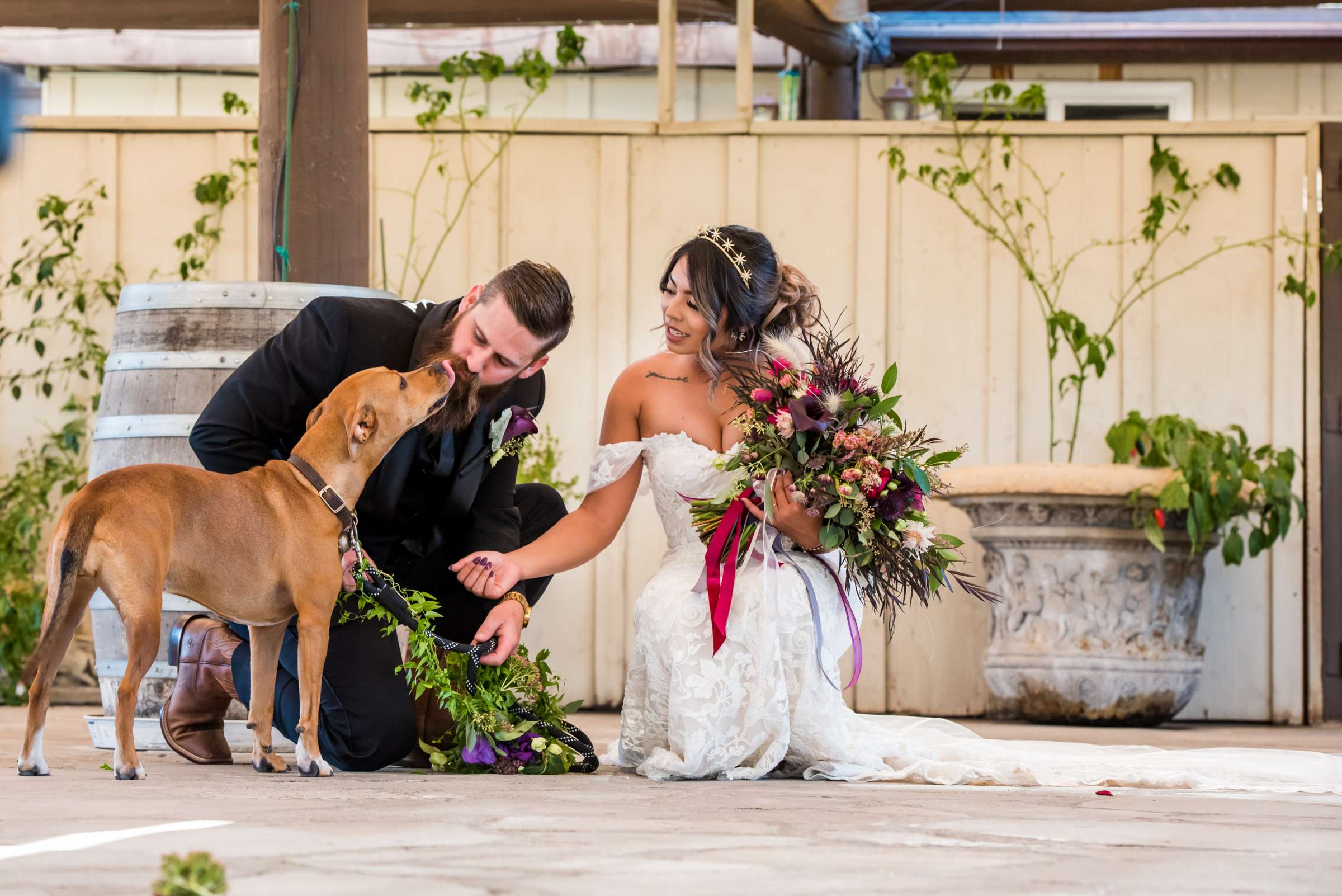 Callaway Vineyards & Winery Wedding, Kari and Andrew Wedding Photo #36 by True Photography