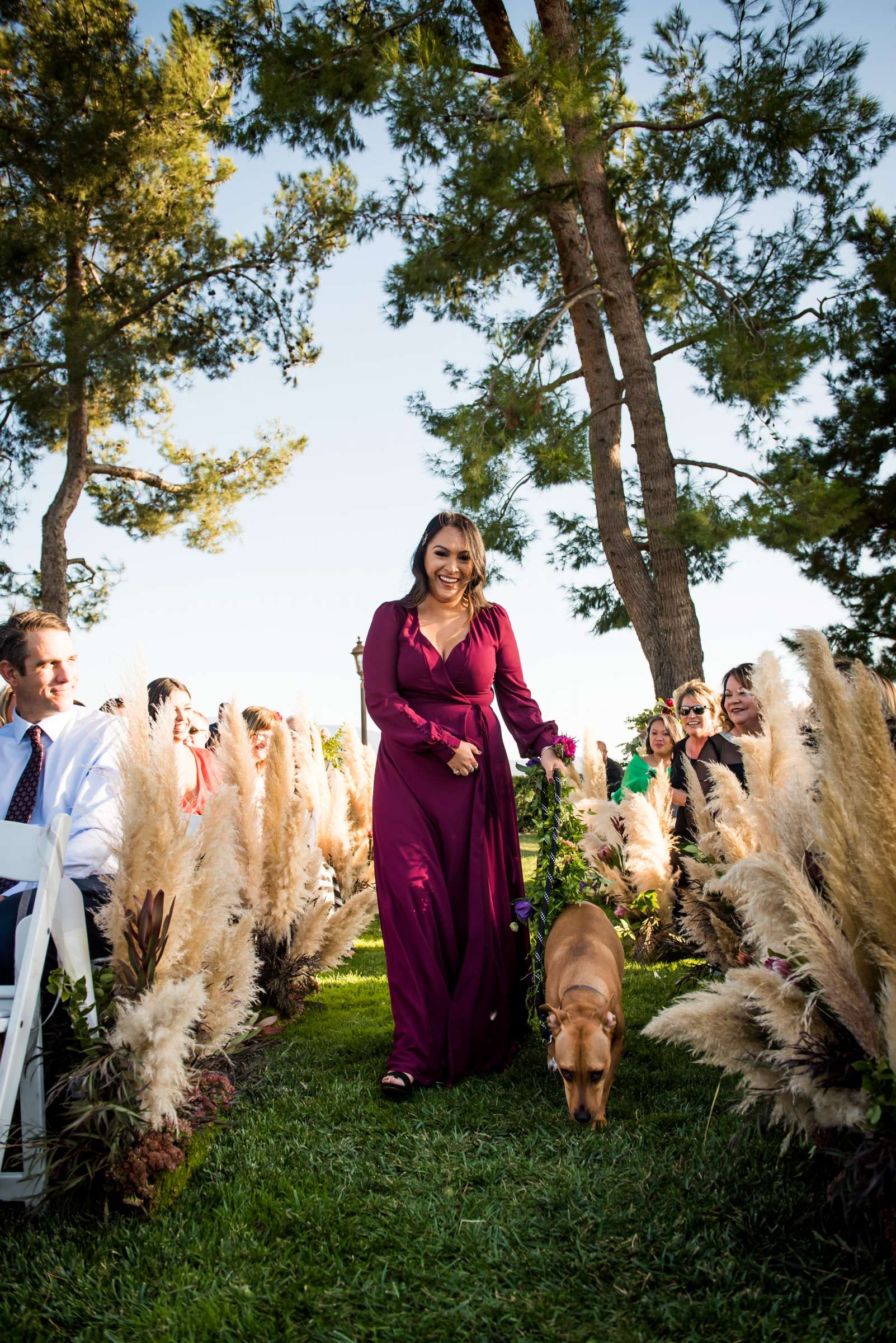 Callaway Vineyards & Winery Wedding, Kari and Andrew Wedding Photo #94 by True Photography