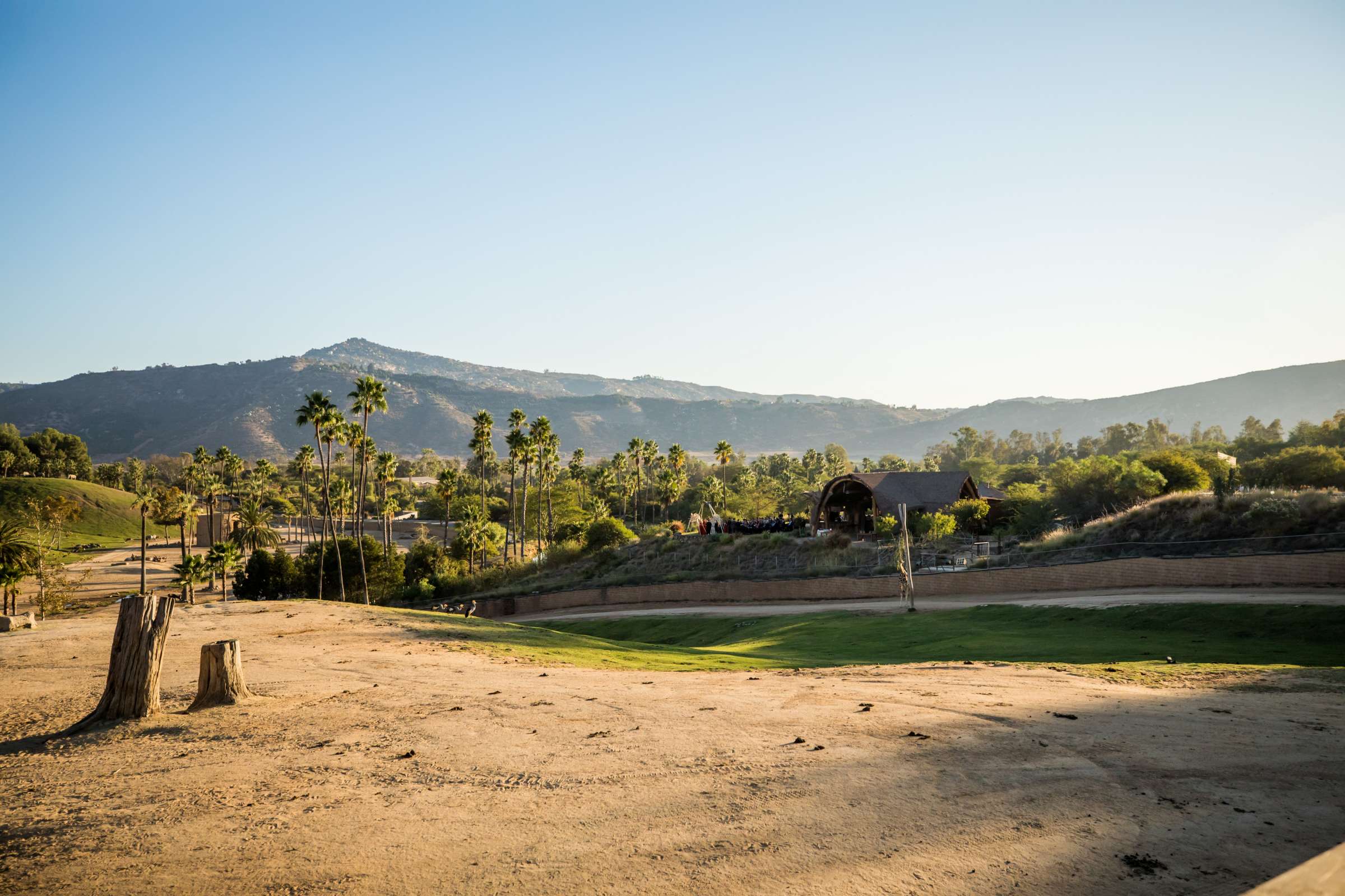 Safari Park Wedding coordinated by Always Flawless Productions, Lynx and Adam Wedding Photo #79 by True Photography