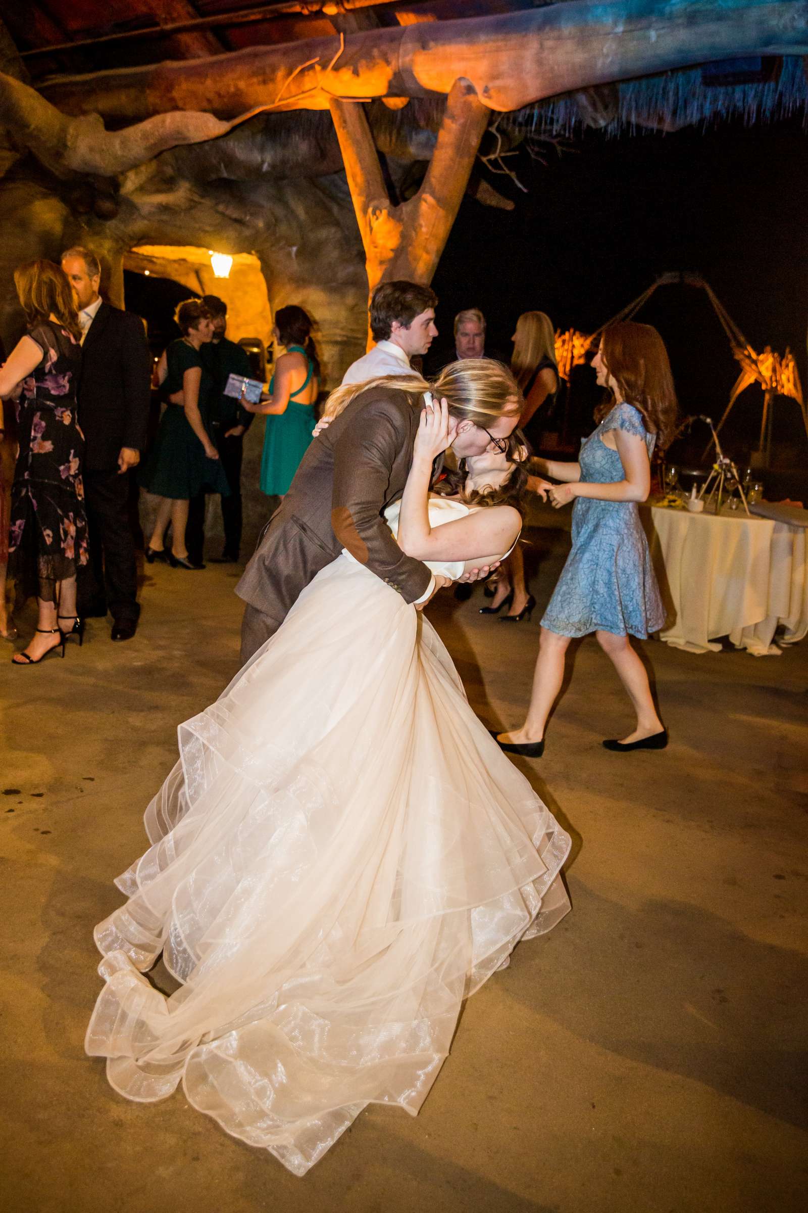 Safari Park Wedding coordinated by Always Flawless Productions, Lynx and Adam Wedding Photo #197 by True Photography