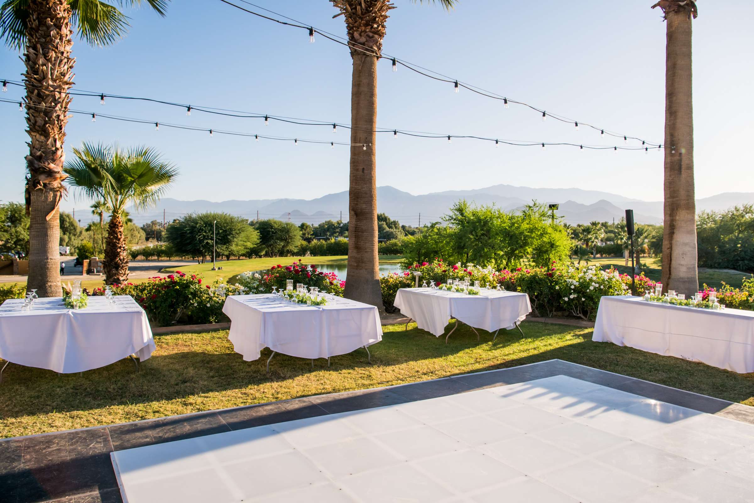 Desert Ridge Estate Wedding, Kelsey and Rob Wedding Photo #126 by True Photography