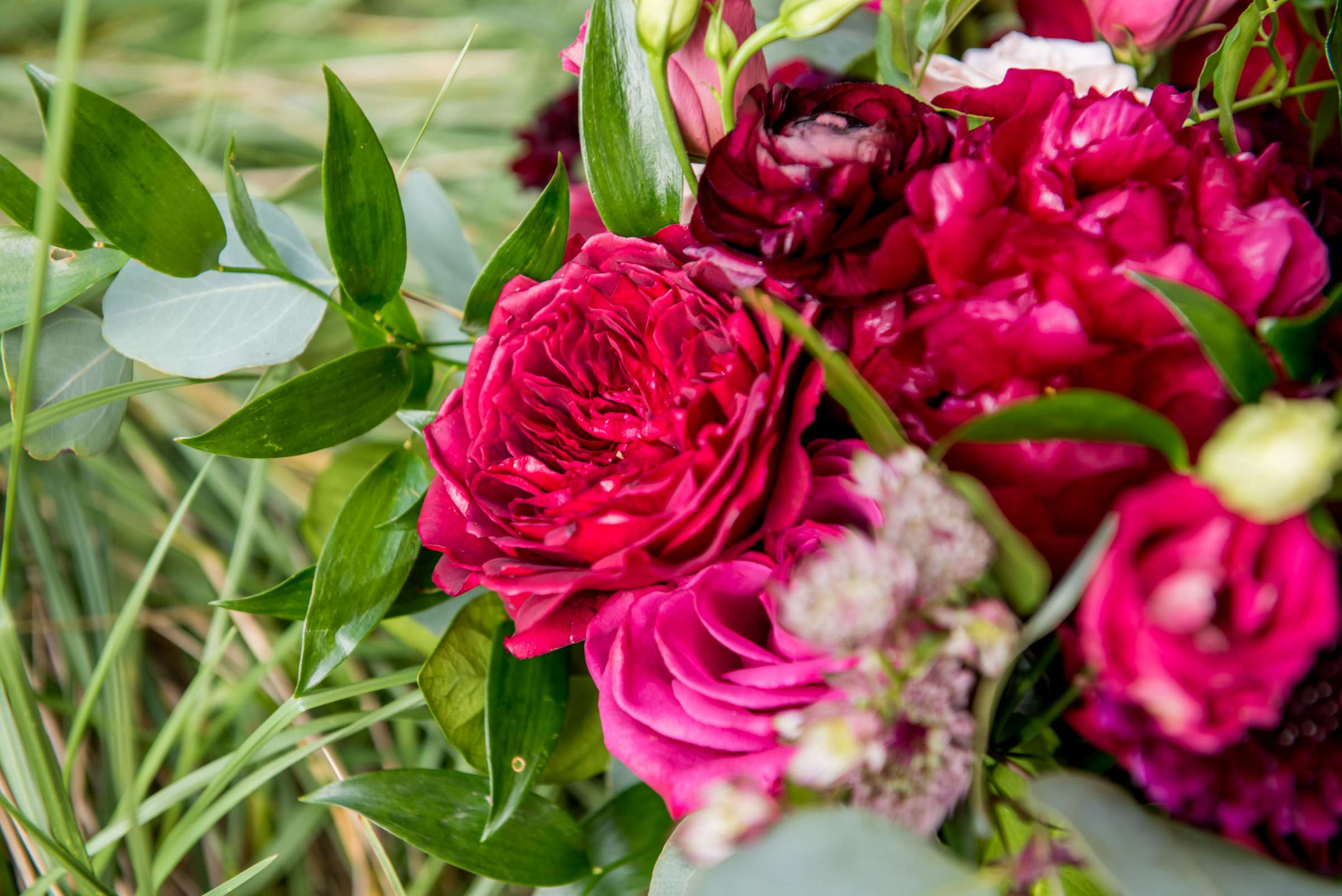 Cape Rey Wedding coordinated by Holly Kalkin Weddings, Jasmine and Kyle Wedding Photo #210 by True Photography