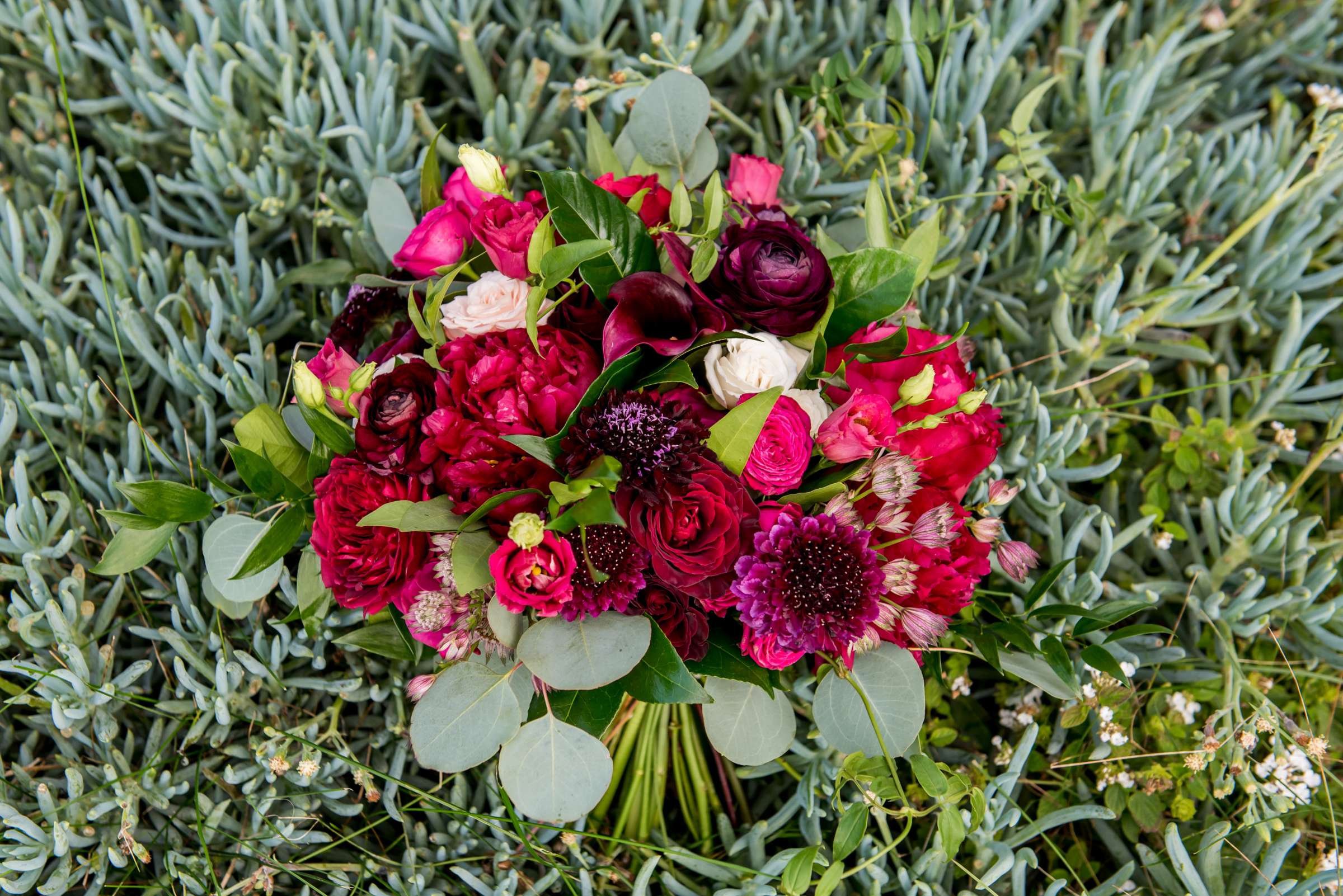 Cape Rey Wedding coordinated by Holly Kalkin Weddings, Jasmine and Kyle Wedding Photo #211 by True Photography