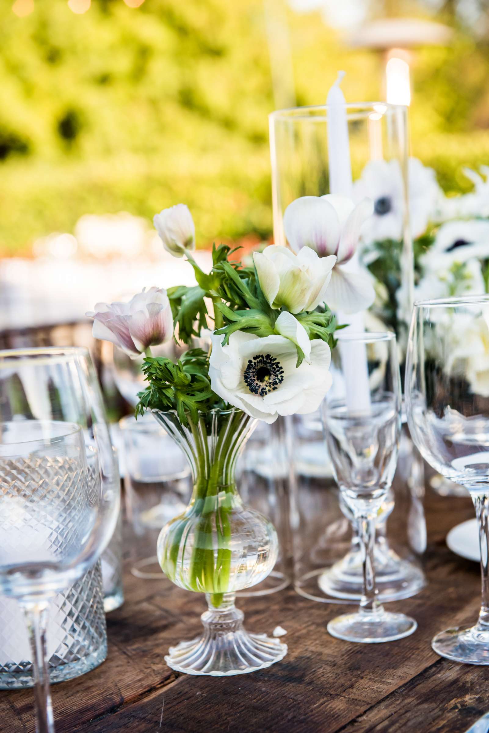 The Inn at Rancho Santa Fe Wedding coordinated by Lace and Champagne, Cindy and Evo Wedding Photo #167 by True Photography