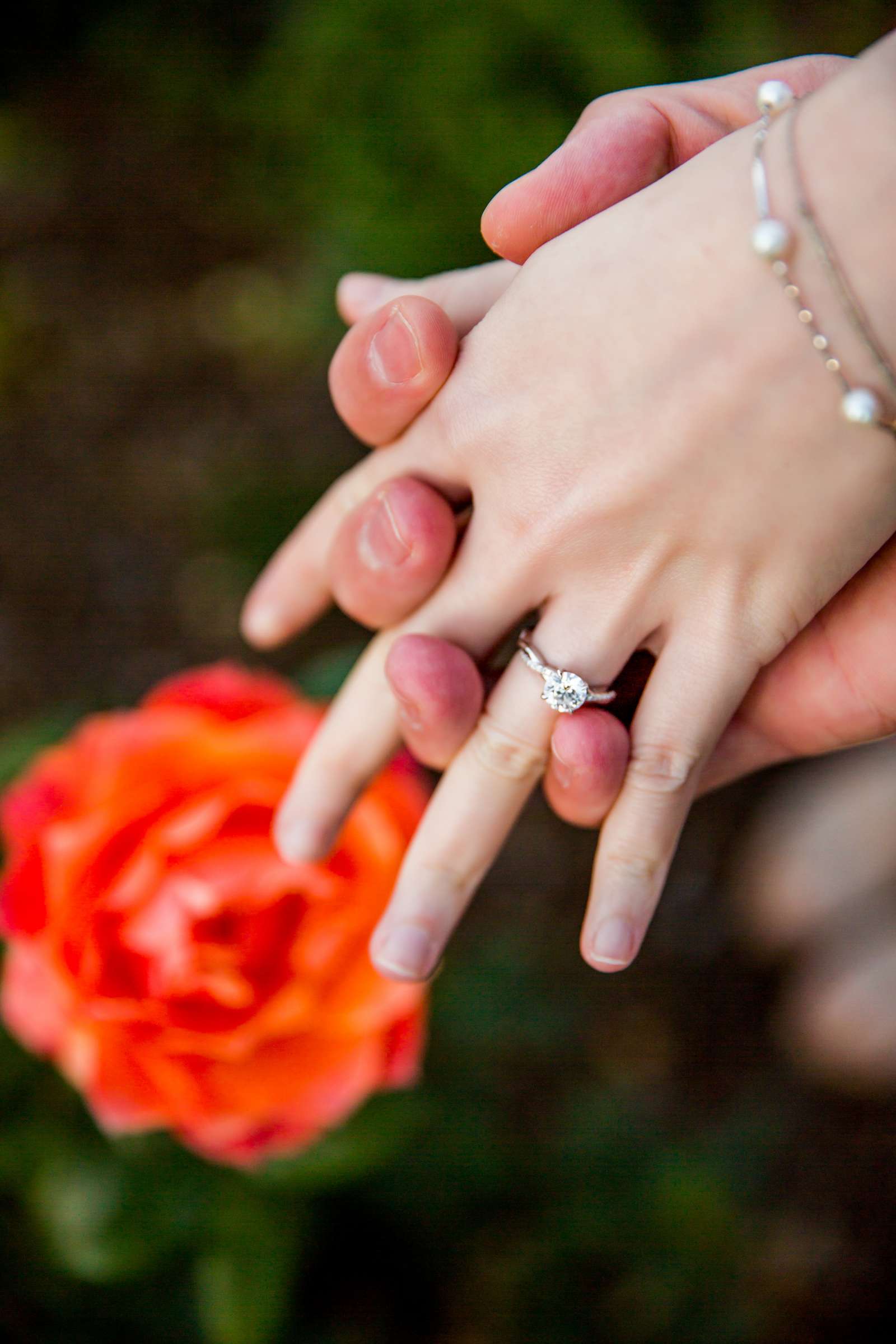 Engagement, Vi and Thomas Engagement Photo #599255 by True Photography