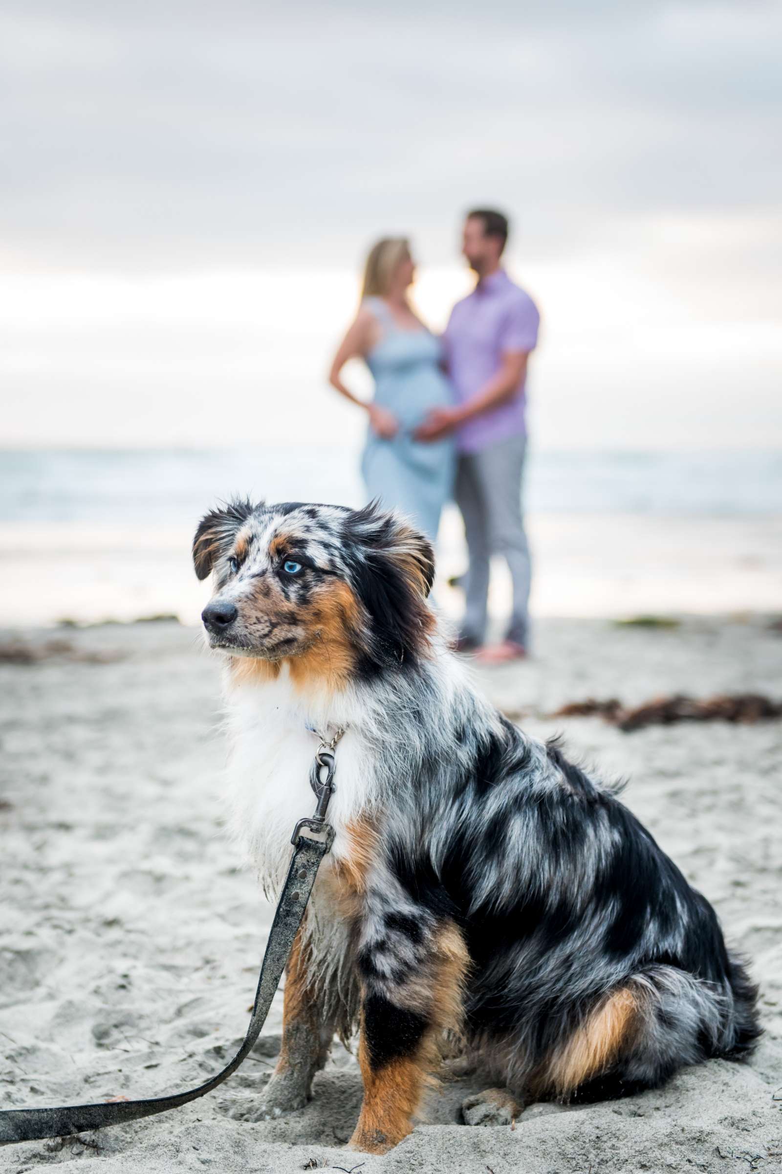 Maternity Photo Session, Becca and Grant Maternity Photo #605856 by True Photography