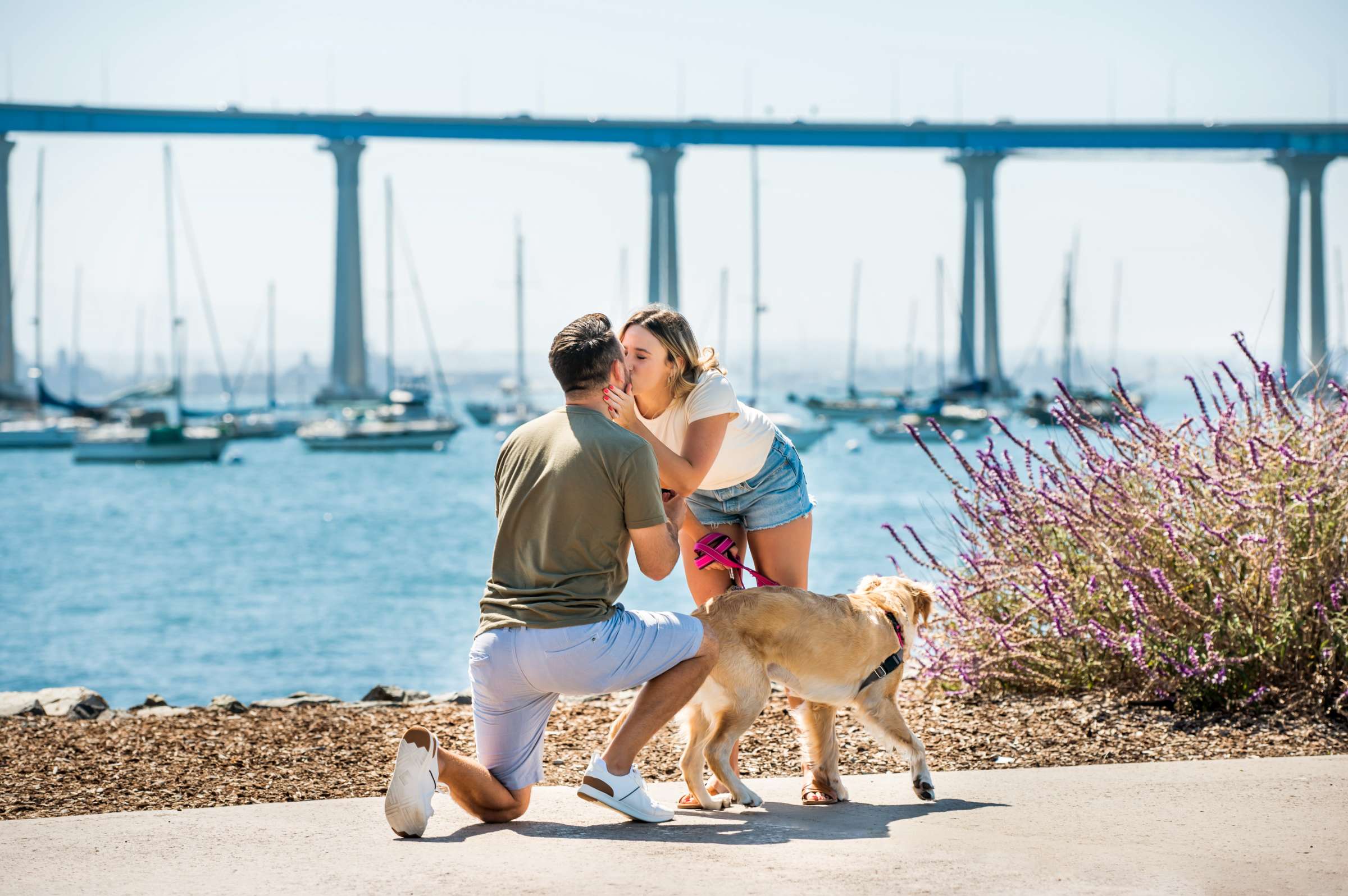 Proposal, Alex and Erin Proposal Photo #12 by True Photography