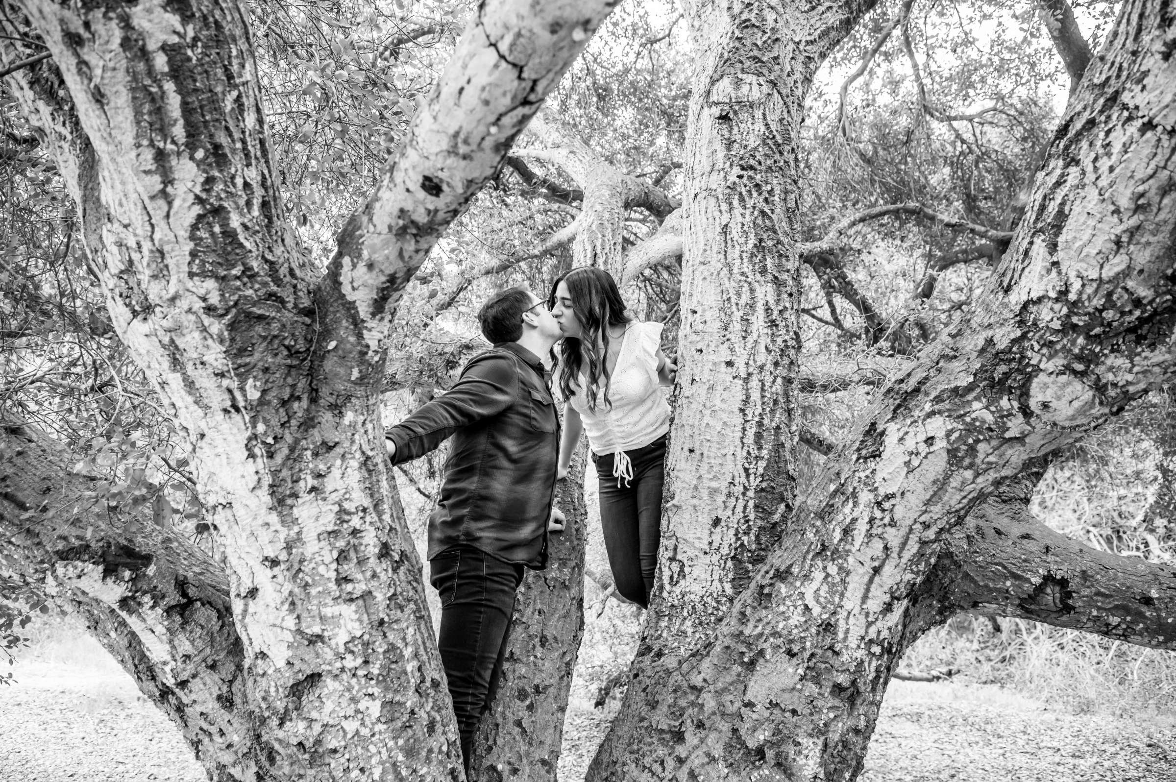 Engagement, Amber and Ben Engagement Photo #5 by True Photography