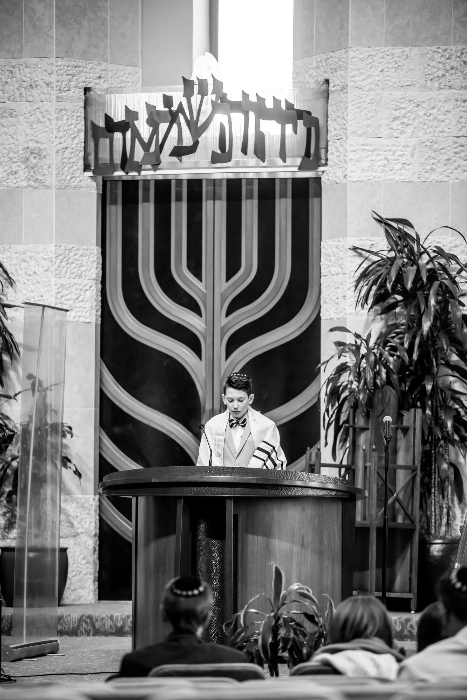 Mitzvah, Ian L Bar Mitzvah Photo #84 by True Photography