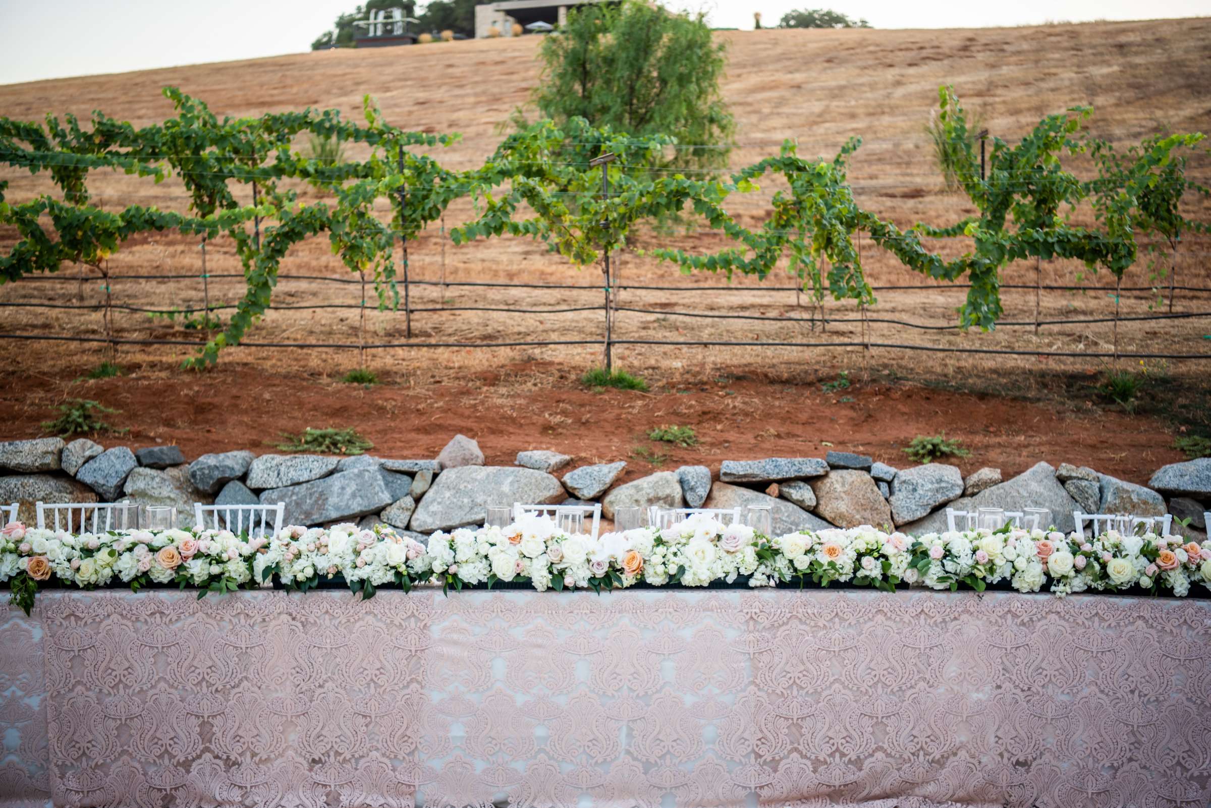 Black Oak Mountain Vineyards Wedding coordinated by Kendall Melissa Events, Liz and Paul Wedding Photo #70 by True Photography