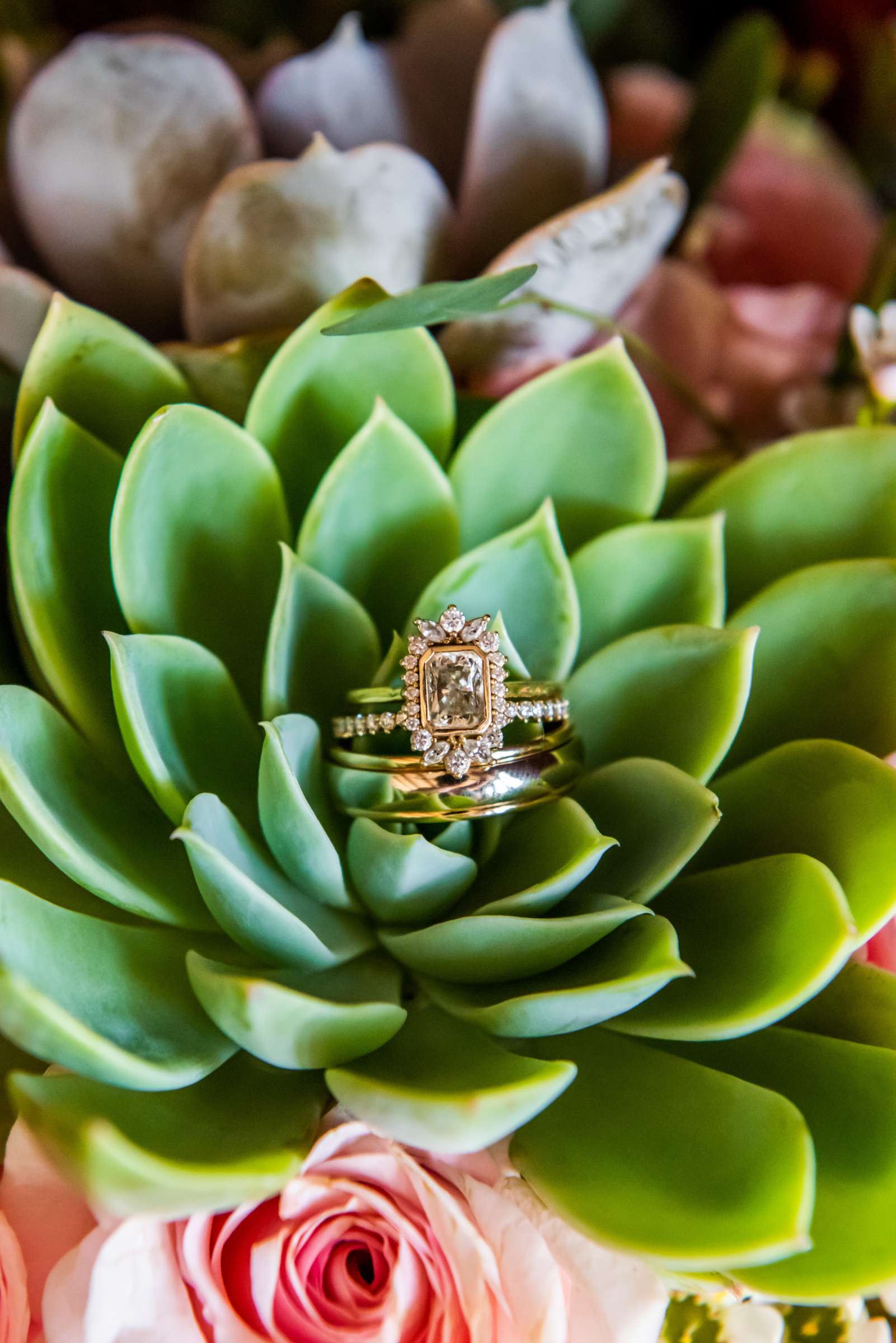 Mt Woodson Castle Wedding, Leigh and Richard Wedding Photo #6 by True Photography