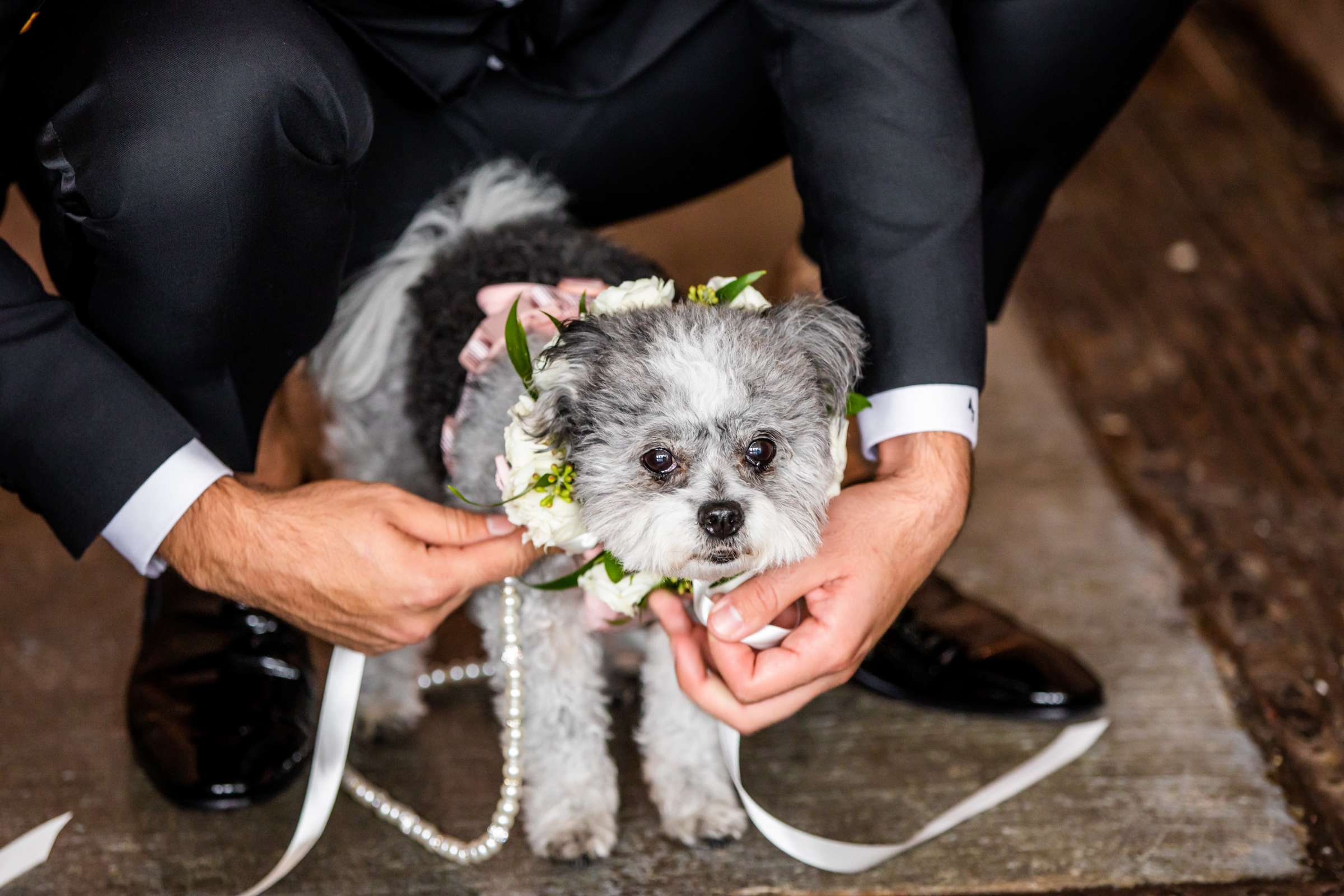 La Valencia Wedding, Marianna and Alberto Wedding Photo #54 by True Photography