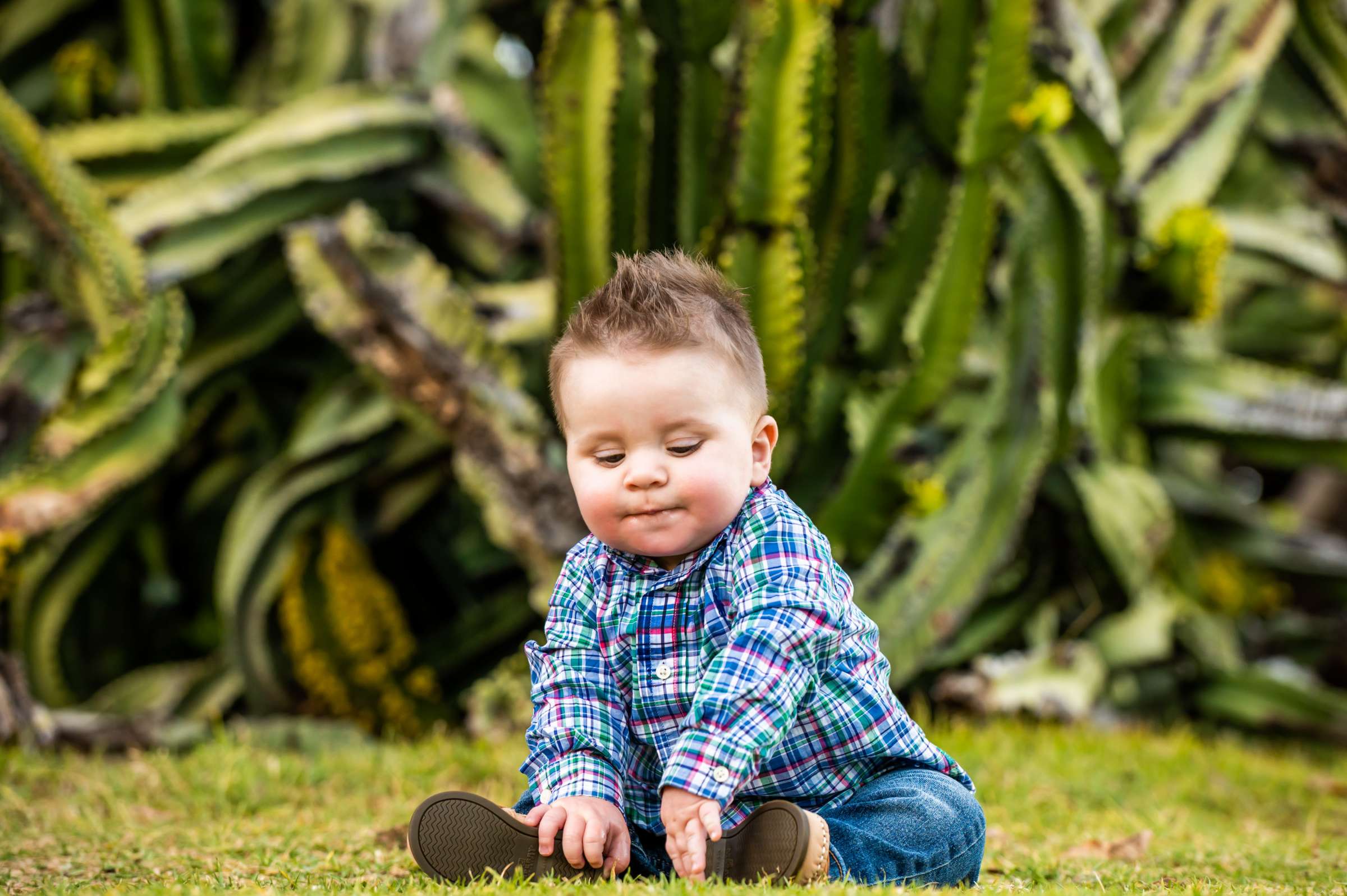 Family Portraits, Berkley W Family Photo #62 by True Photography