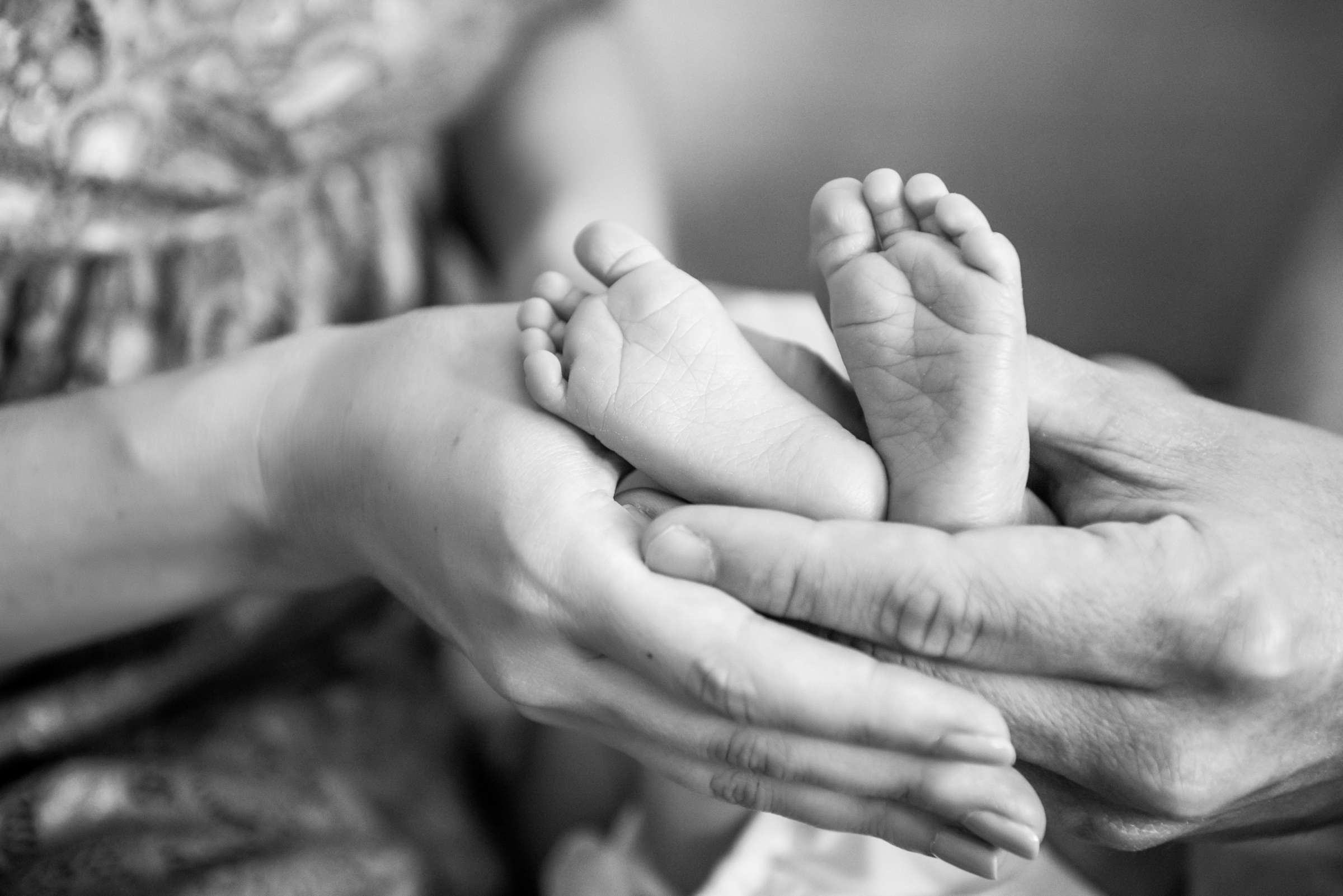 Newborn Photo Session, Andrea and Patrick Newborn Photo #612495 by True Photography