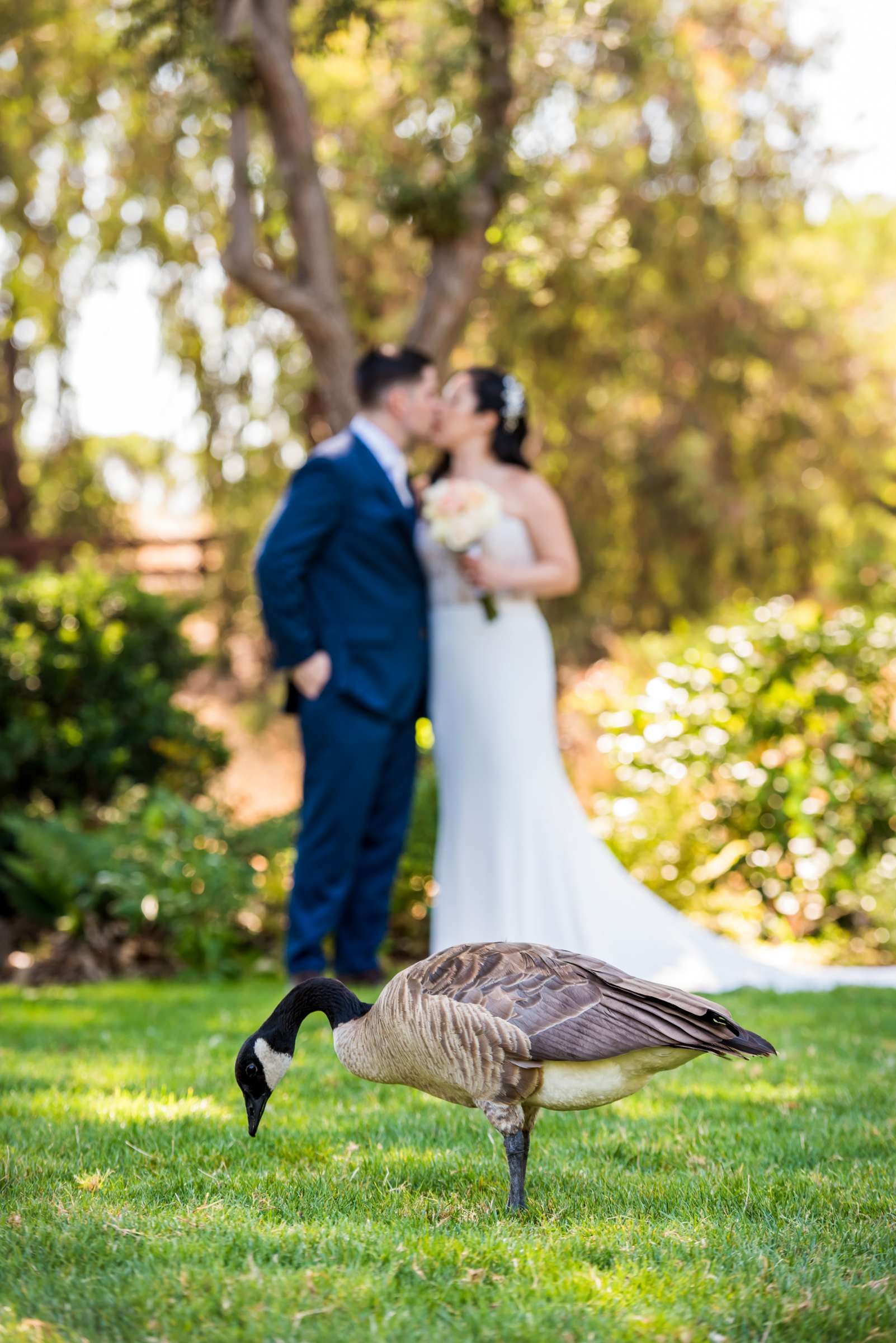 Wedding, Connie and Christophe Wedding Photo #27 by True Photography