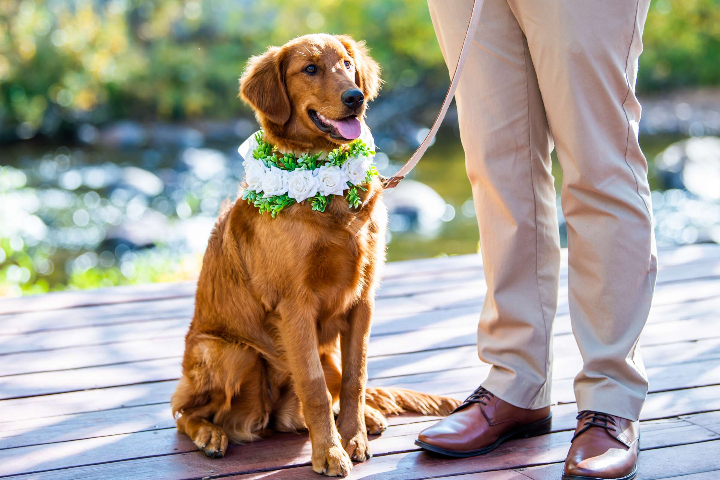 Wild Basin Lodge Wedding, Allison and Dan Wedding Photo #56 by True Photography