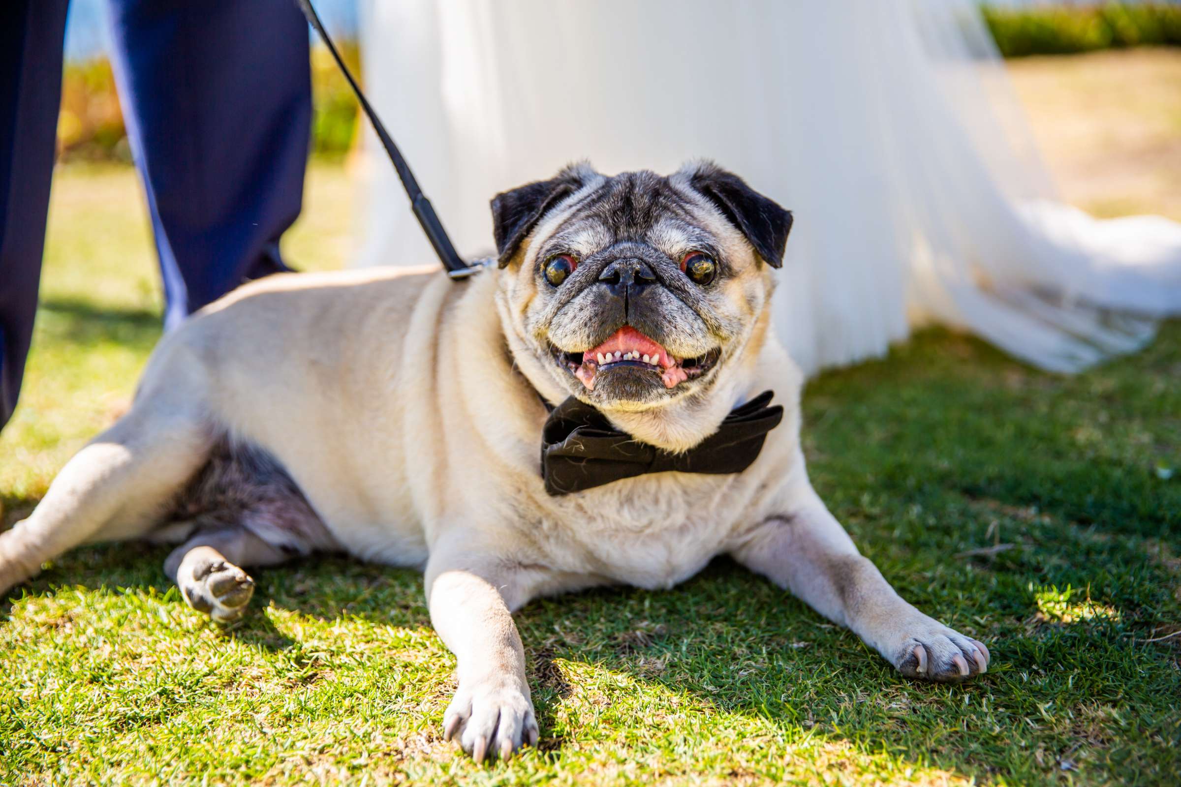 Wedding coordinated by At Your Side Planning, Sylvia and Andy Wedding Photo #631838 by True Photography