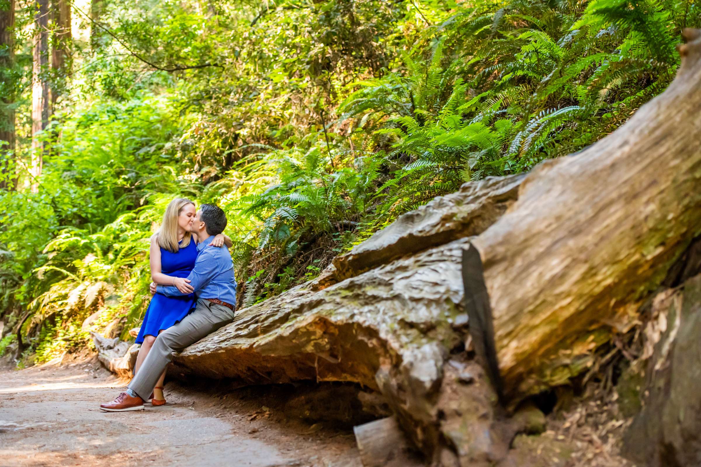 Engagement, Lisa and Kenny Engagement Photo #629886 by True Photography