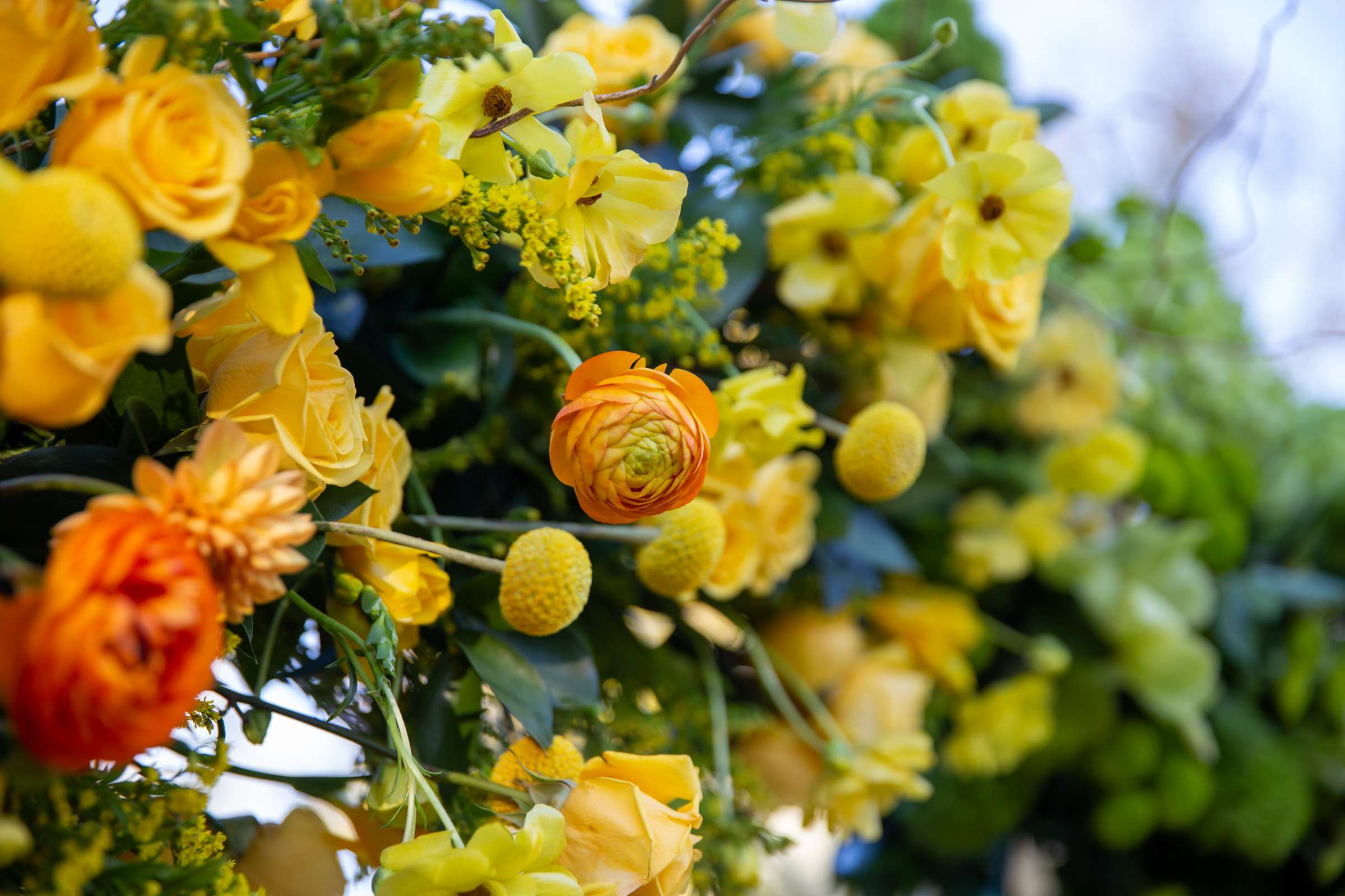 Church Ranch Event Center Wedding, Mandy and Jim Wedding Photo #669451 by True Photography