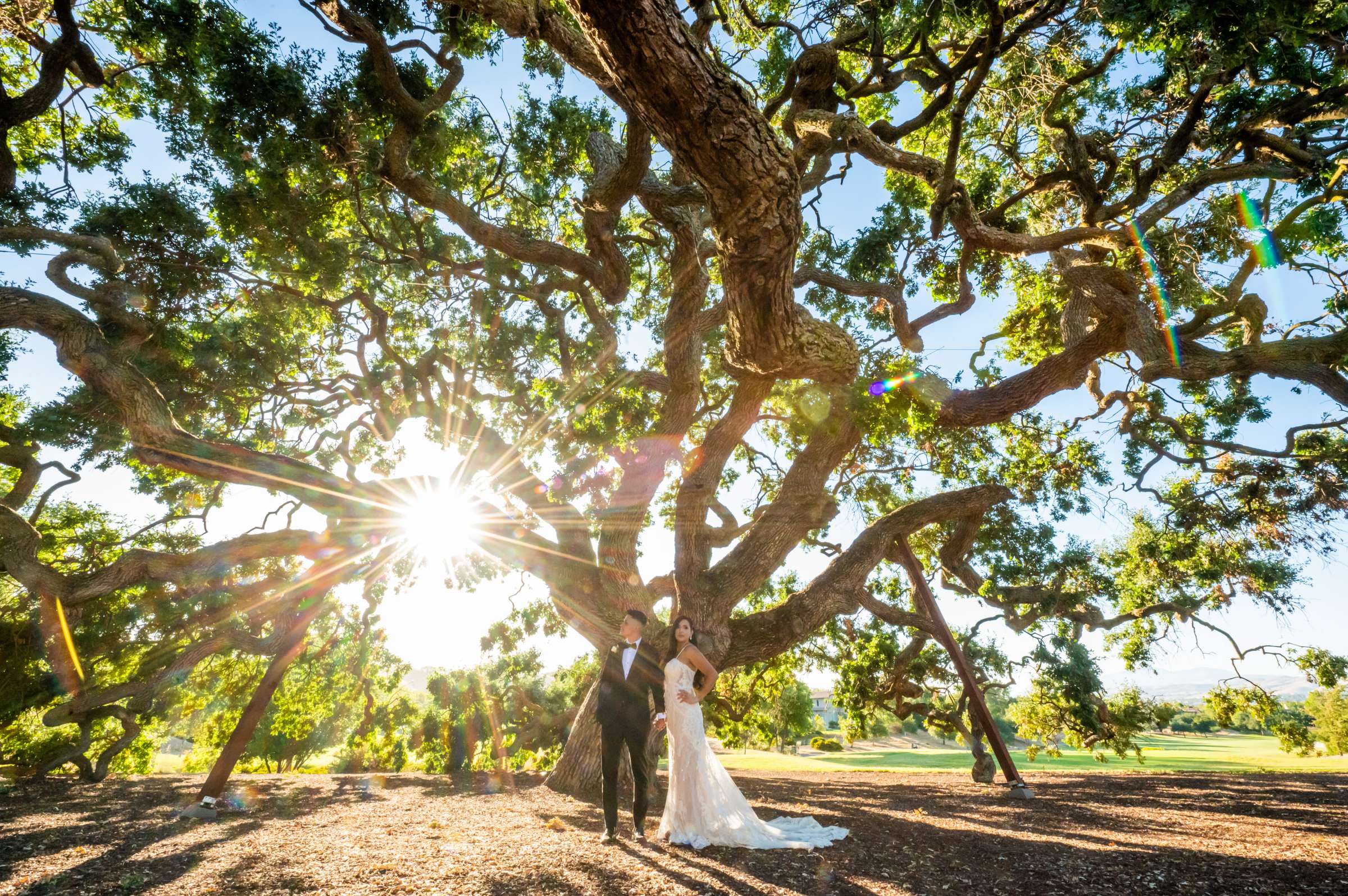 Wedding, Michelle and David Wedding Photo #701761 by True Photography